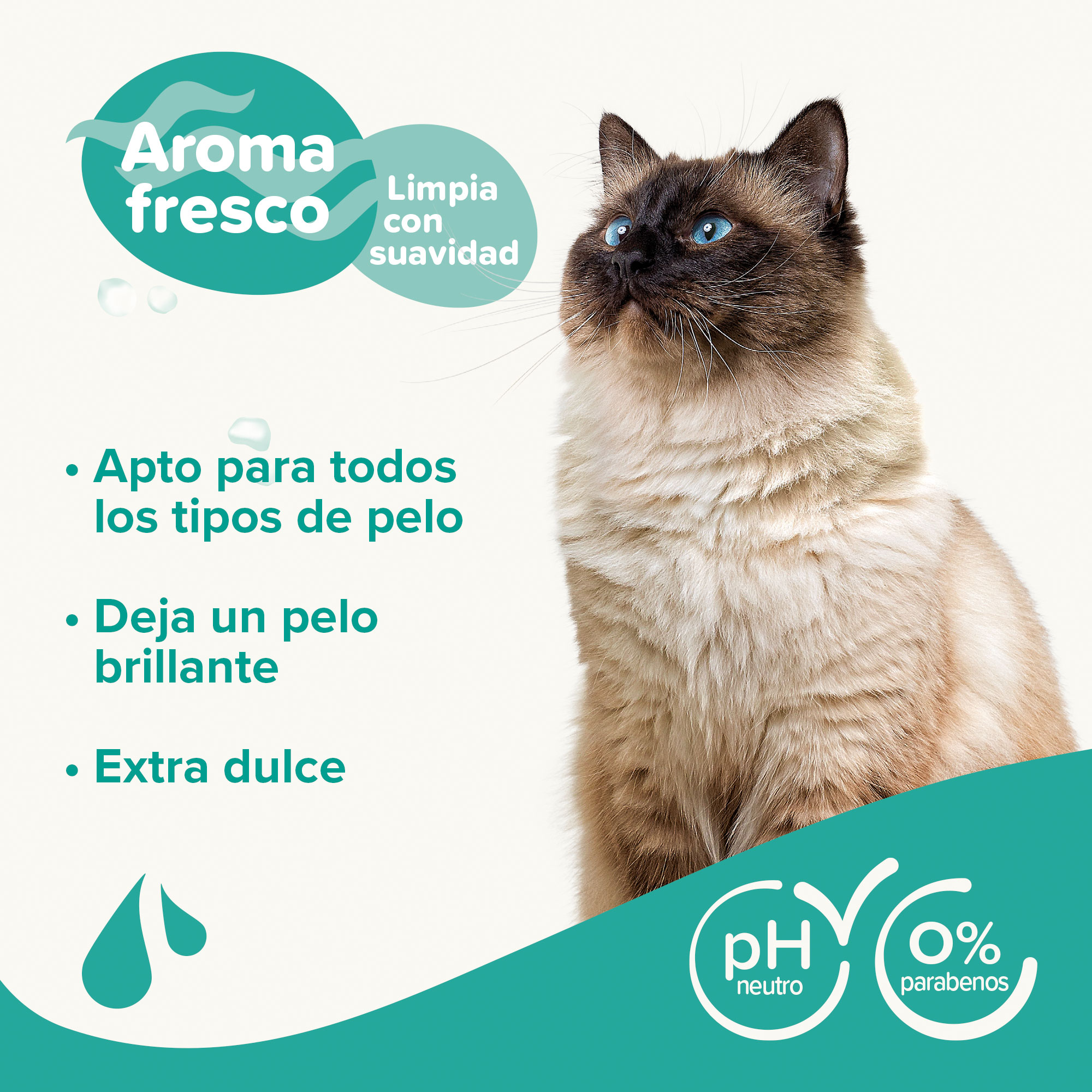 Champú Gatos - 250ml