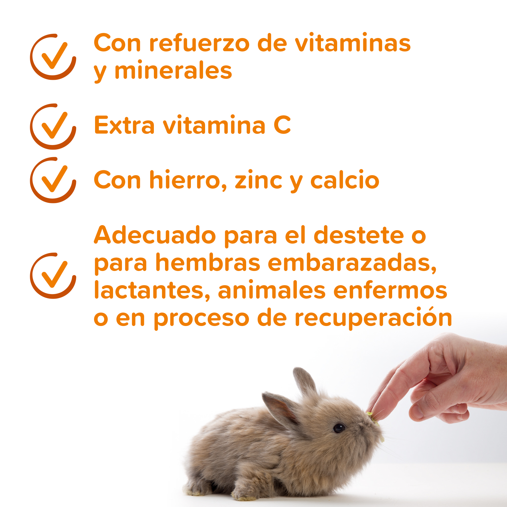 Beaphar Leche de Sustitución para Pequeño Animal - 200g