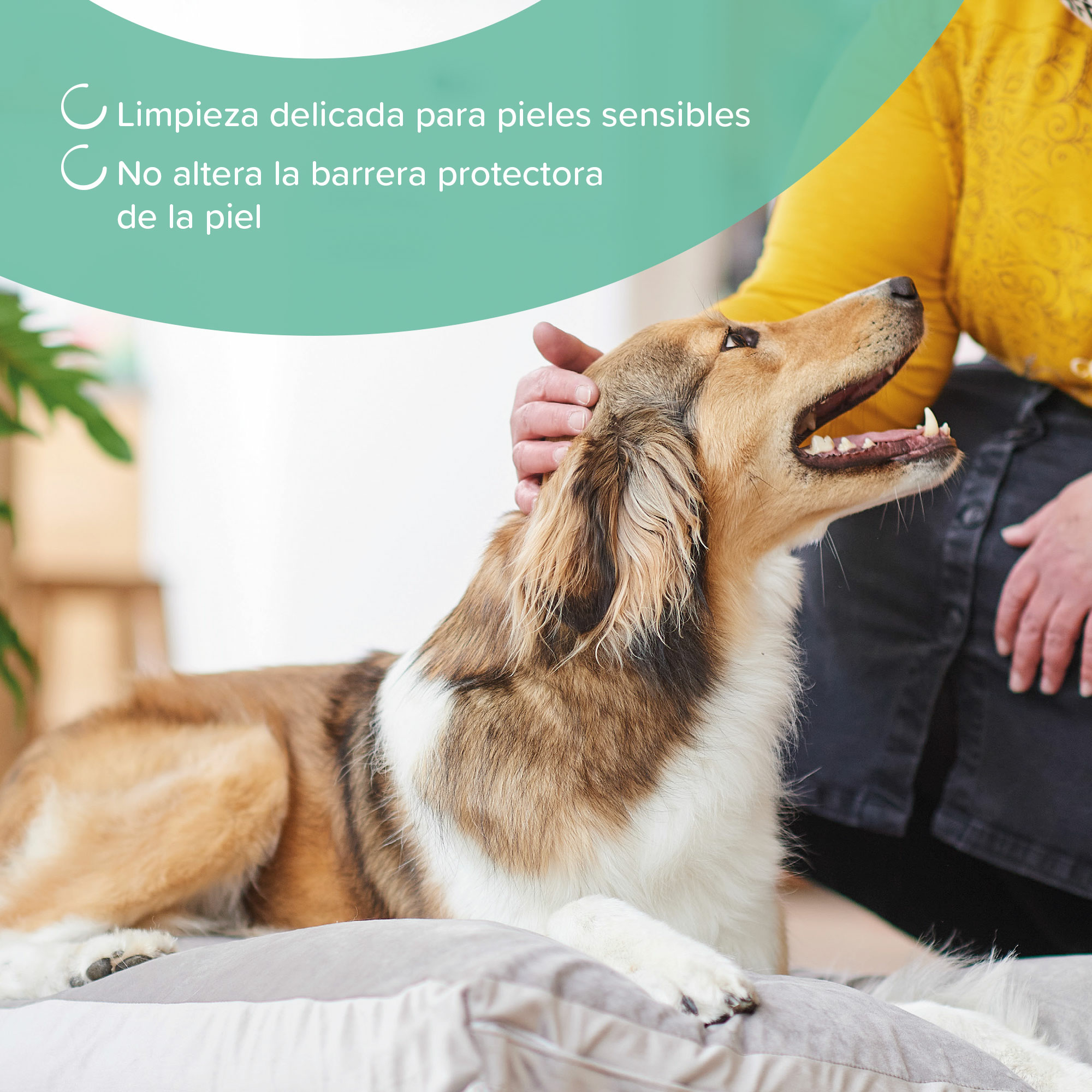 Beaphar Champú Hipoalergénico Perros y Gatos - 250ml