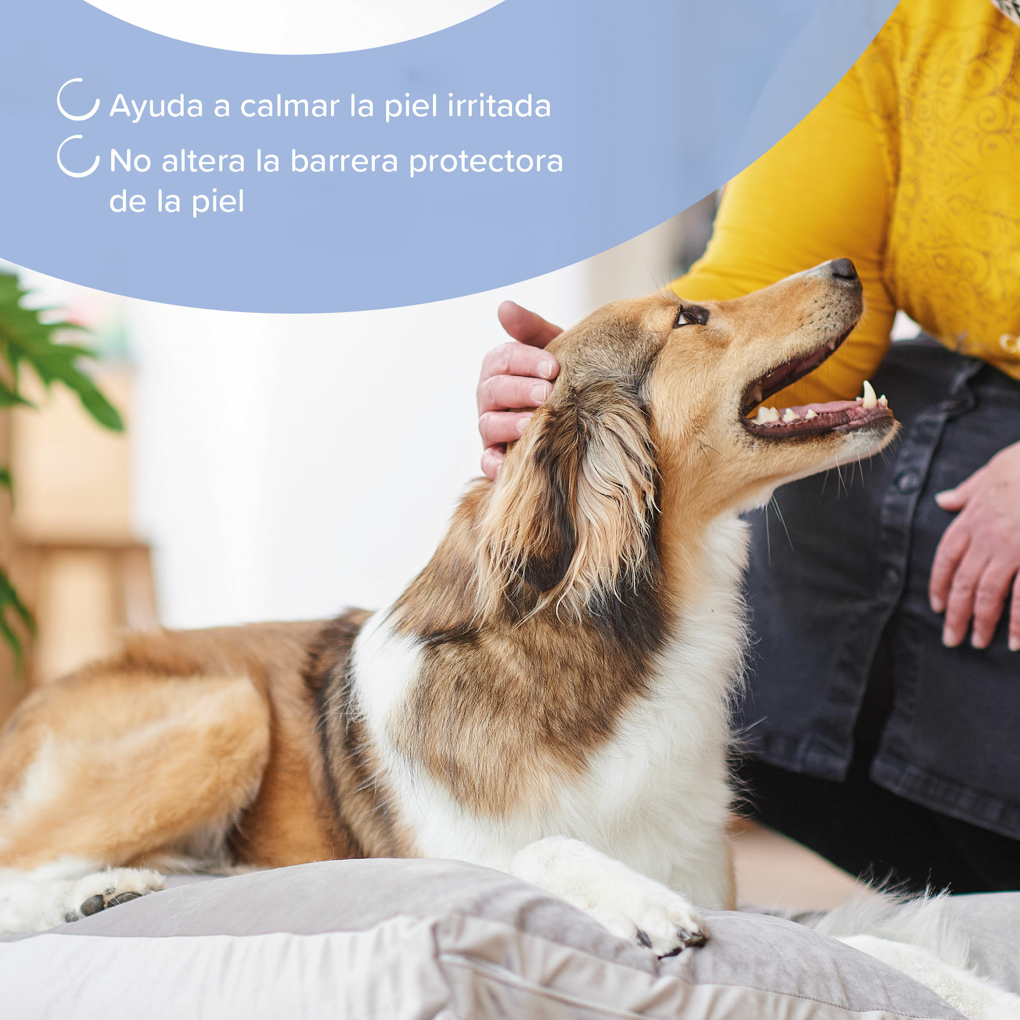 Beaphar Champú Calmante Perros y Gatos - 250ml