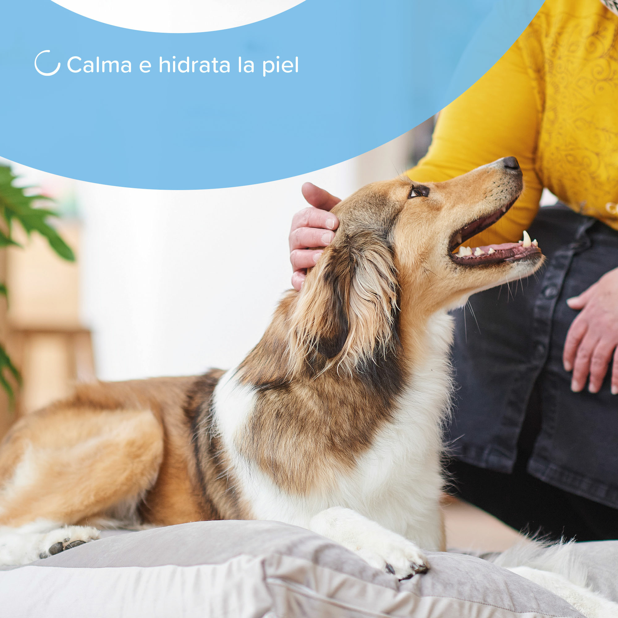 Beaphar Spray para el Cuidado de la Piel Perros y Gatos - 250ml