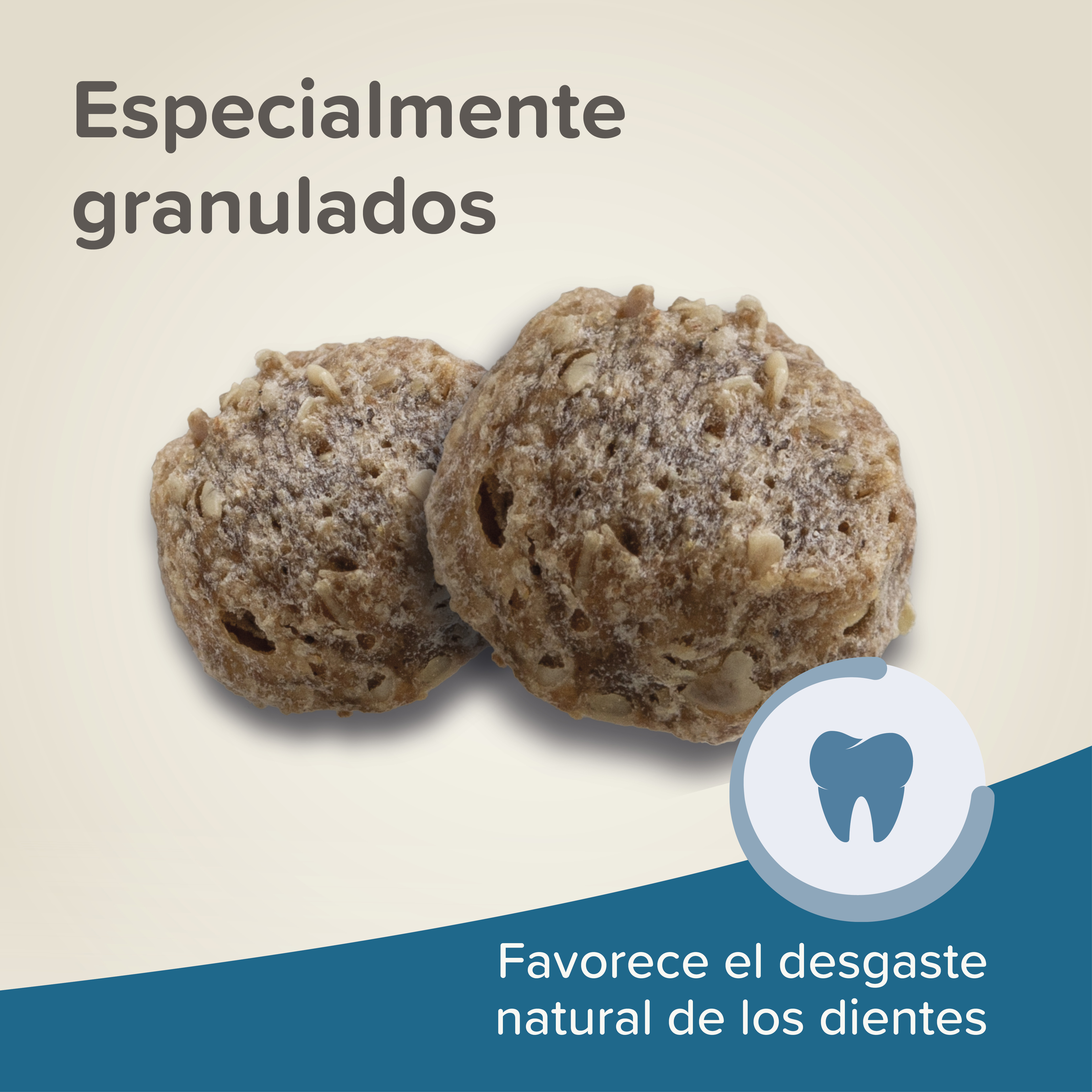 Beaphar Care+ Hámster Enano, 500g