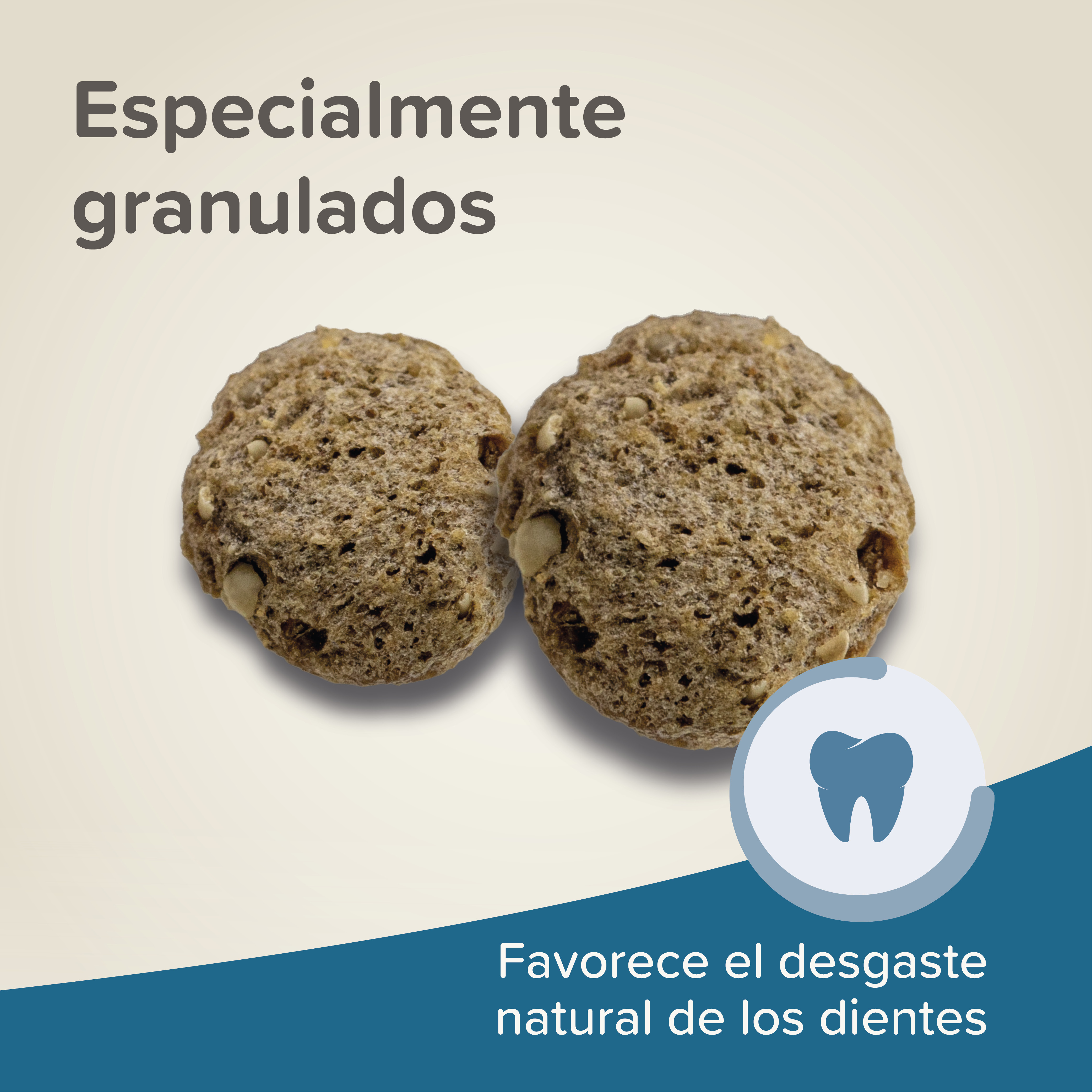 Beaphar Care+ Ratón y Jerbo, 500 g