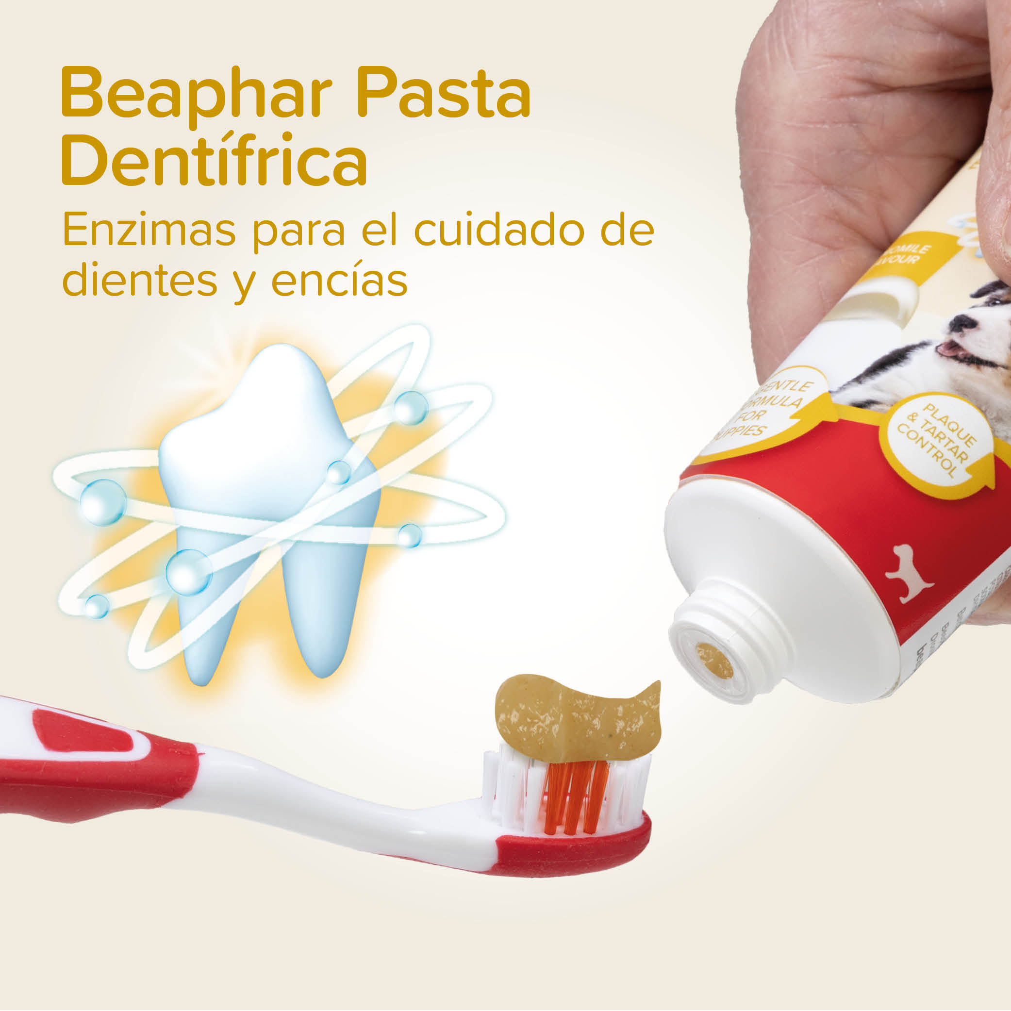 Beaphar Pack Dental Cachorros: Pasta dental + Cepillo dental de dedo + cepillo dental cachorros