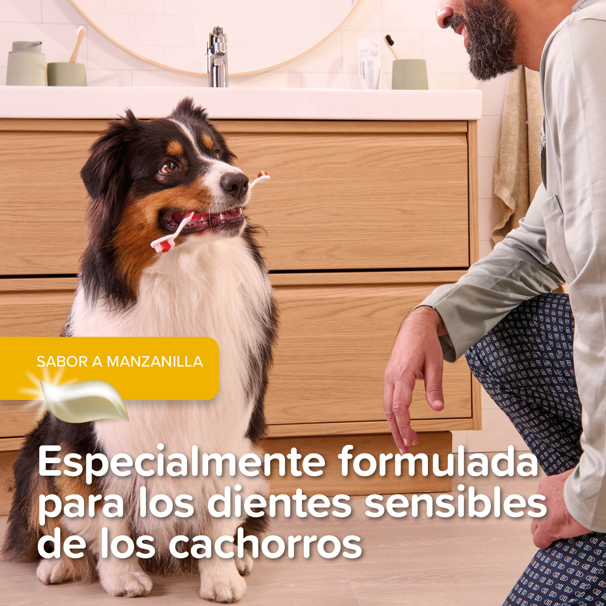 Beaphar Pack Dental Cachorros: Pasta dental + Cepillo dental de dedo + cepillo dental cachorros