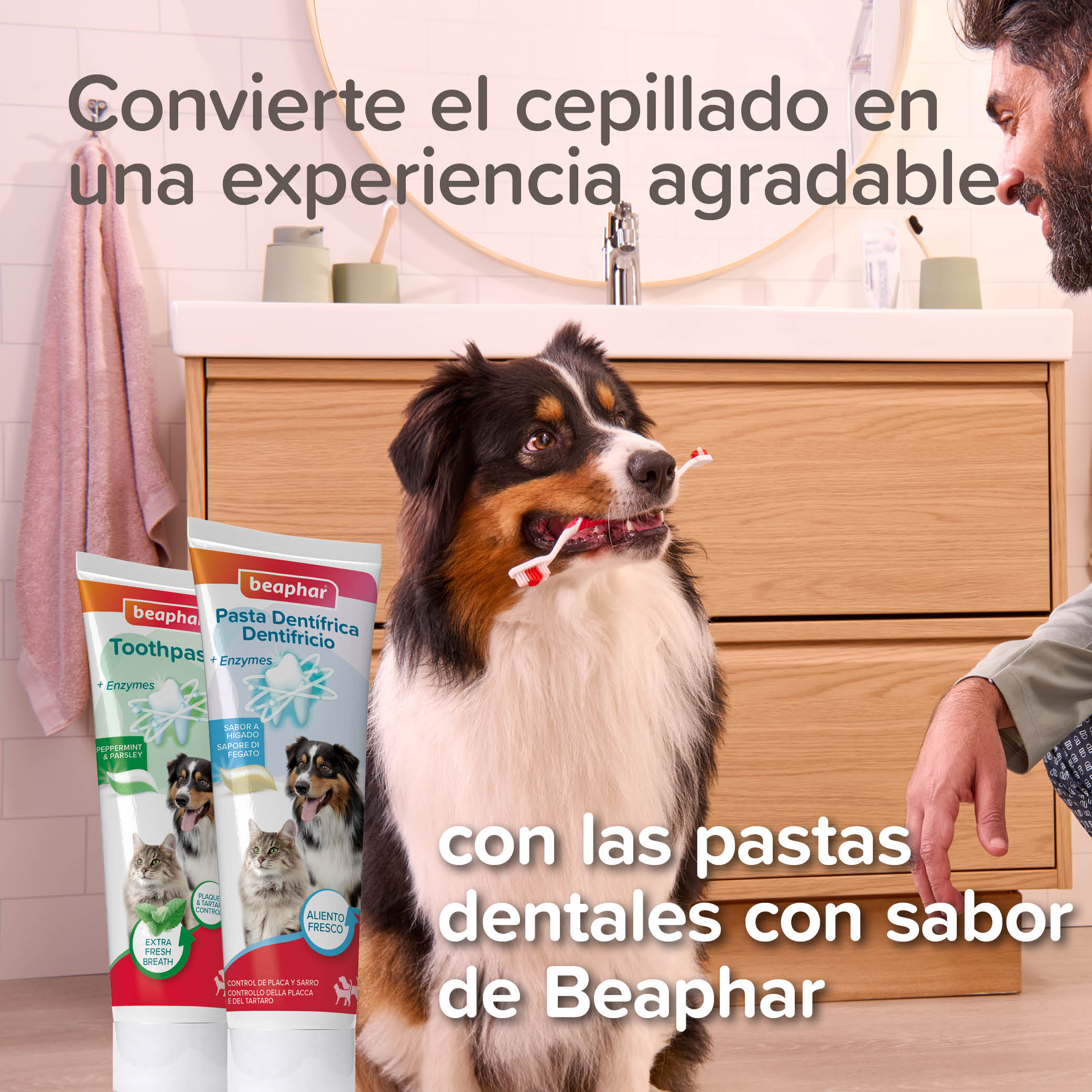 Beaphar Cepillo Dental Perro y Gato