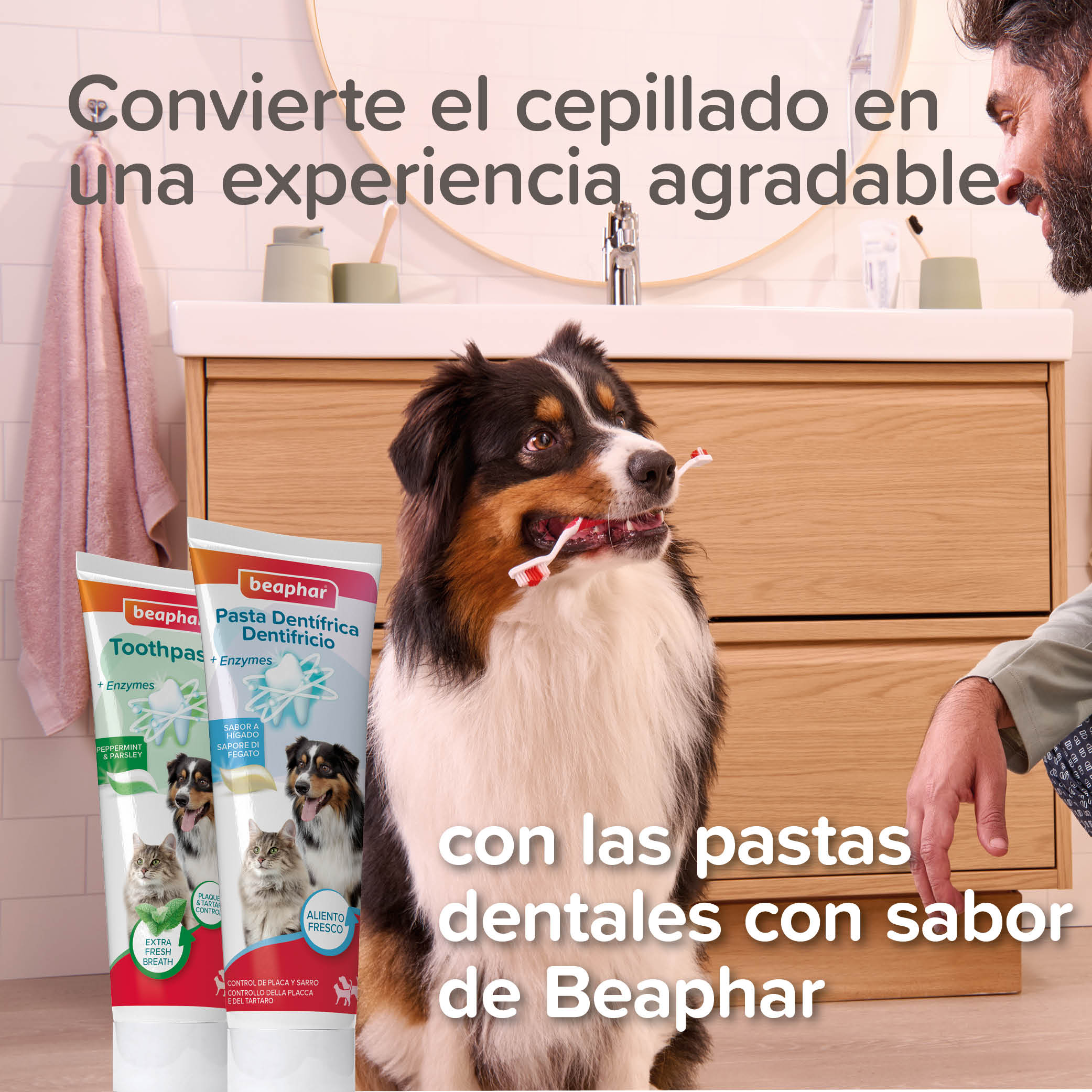 Beaphar Cepillo Dental Bambú