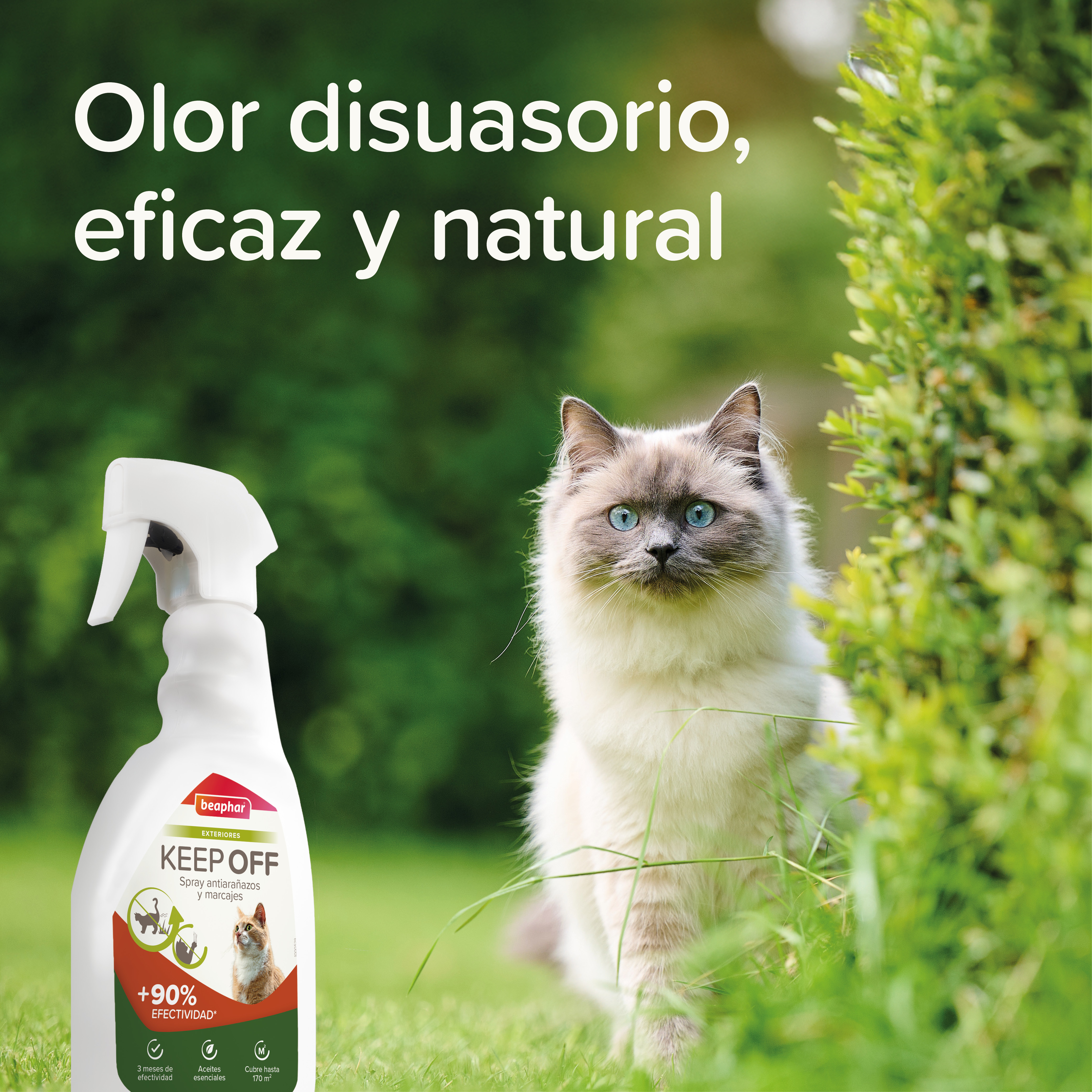 Beaphar Keep Off Spray  Educador Exteriores - 500ml