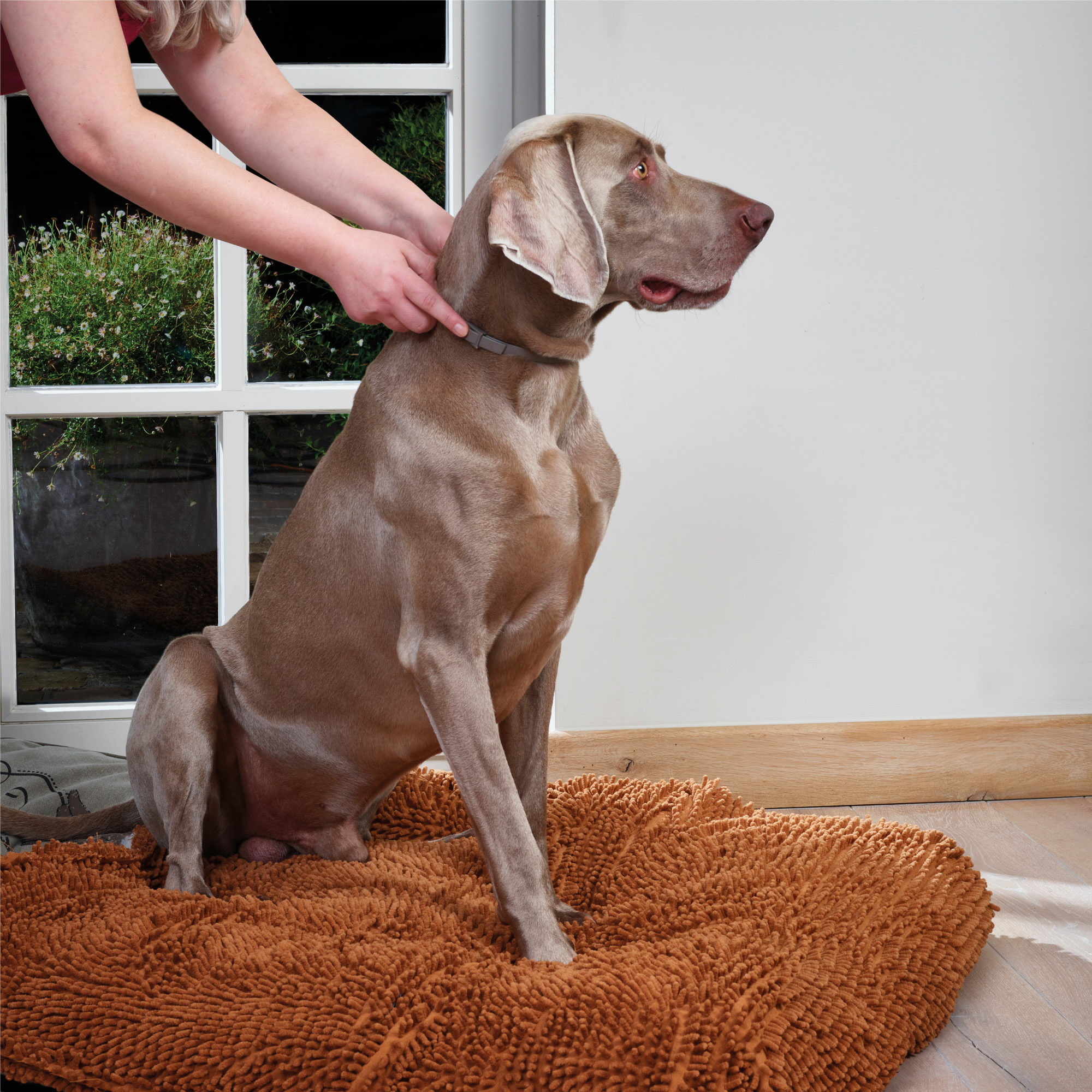 Beaphar CaniComfort® Collar Perros Adultos - 65 Cm