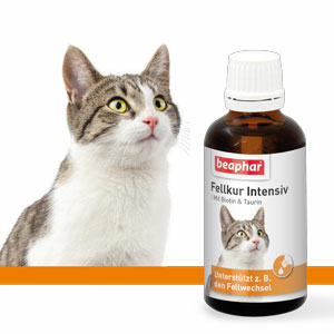 Fellkur Intensiv Katze, 50ml