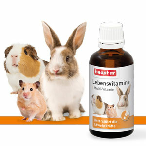 Lebensvitamine, 50ml