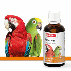 Federkur Vitamintropfen, 50ml