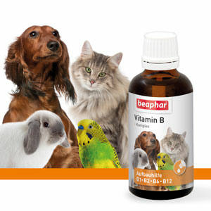 Vitamin-B Komplex, 50ml - Beaphar