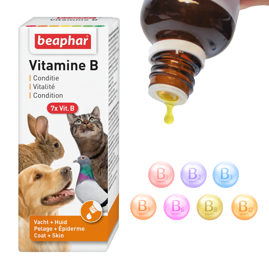 B-vitamin cseppek, 50 ml