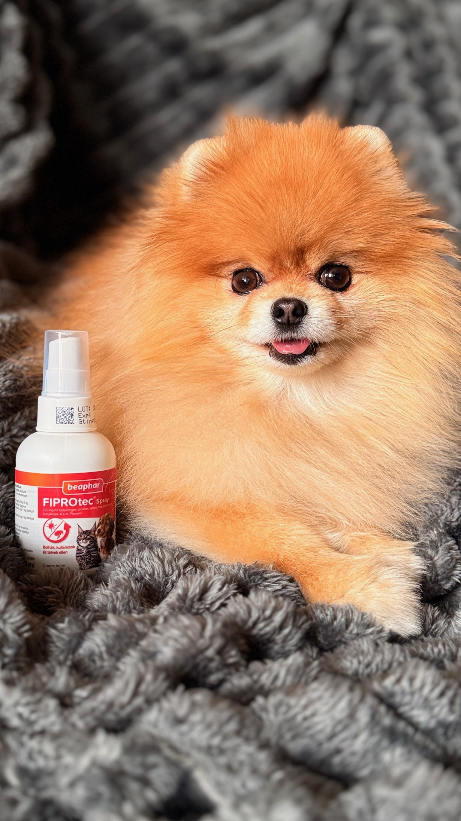 FIPROtec® spray bolhák, kullancsok és tetvek ellen