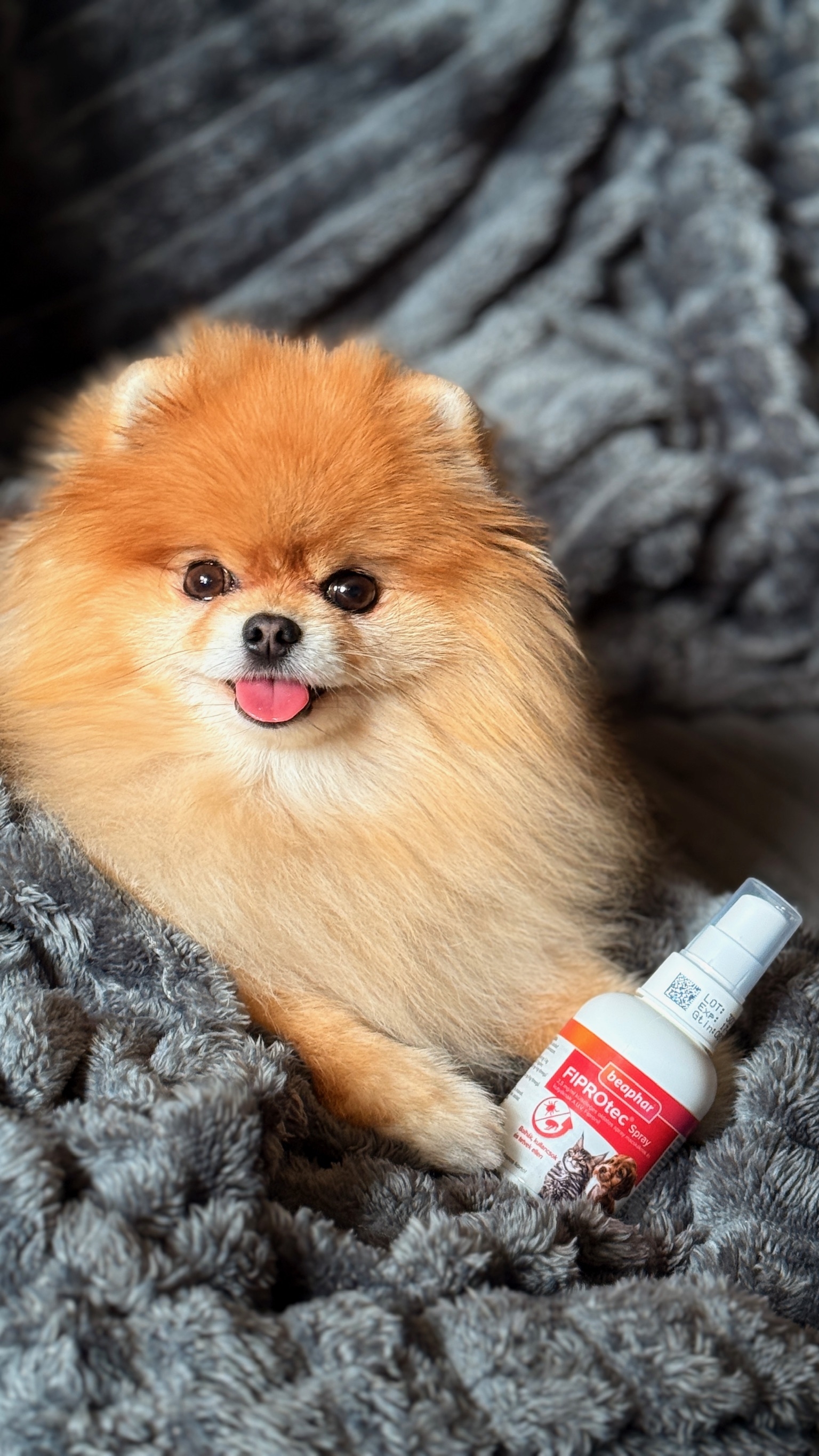 FIPROtec® spray bolhák, kullancsok és tetvek ellen