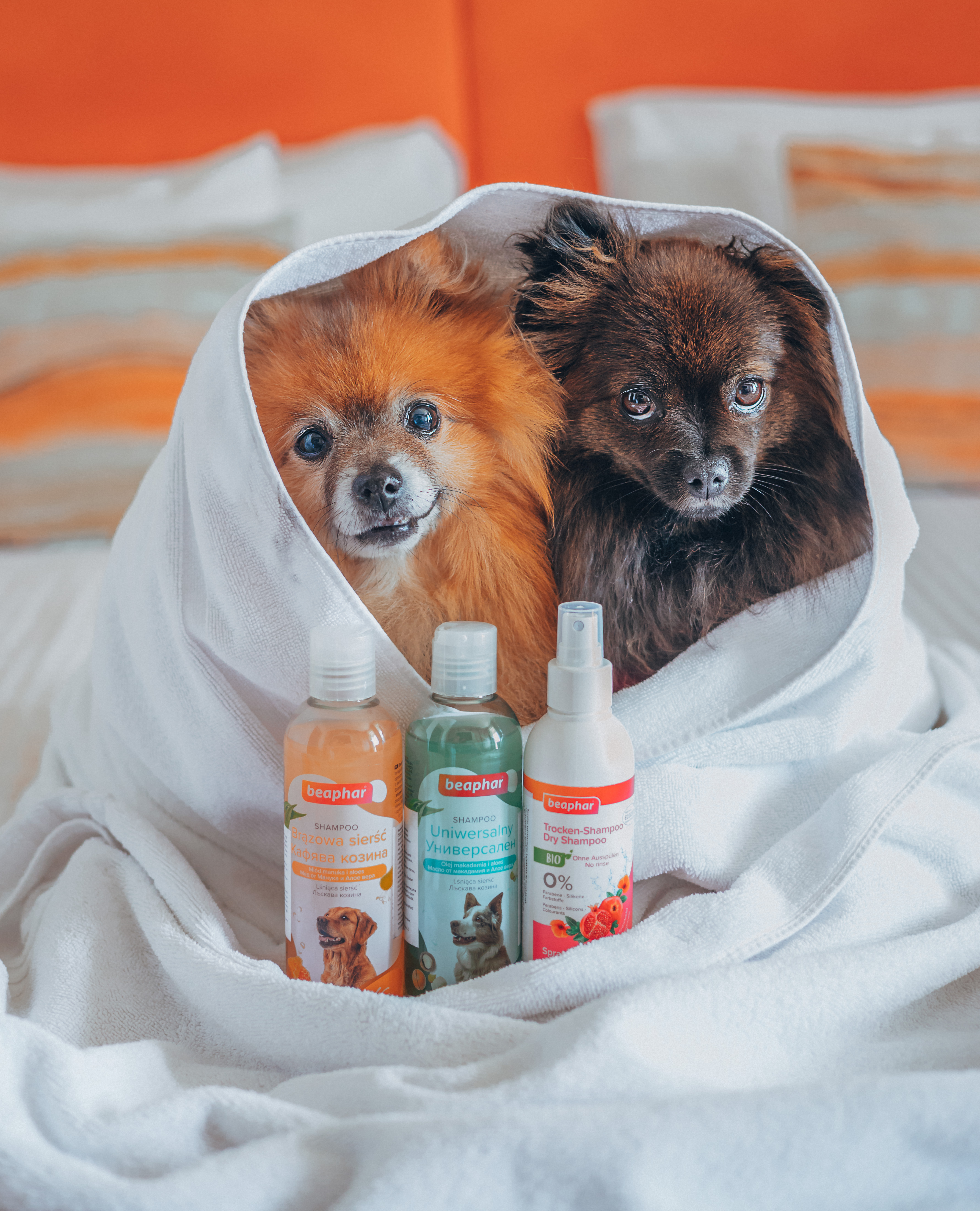 Sampon barna szőrű kutyáknak manukamézzel