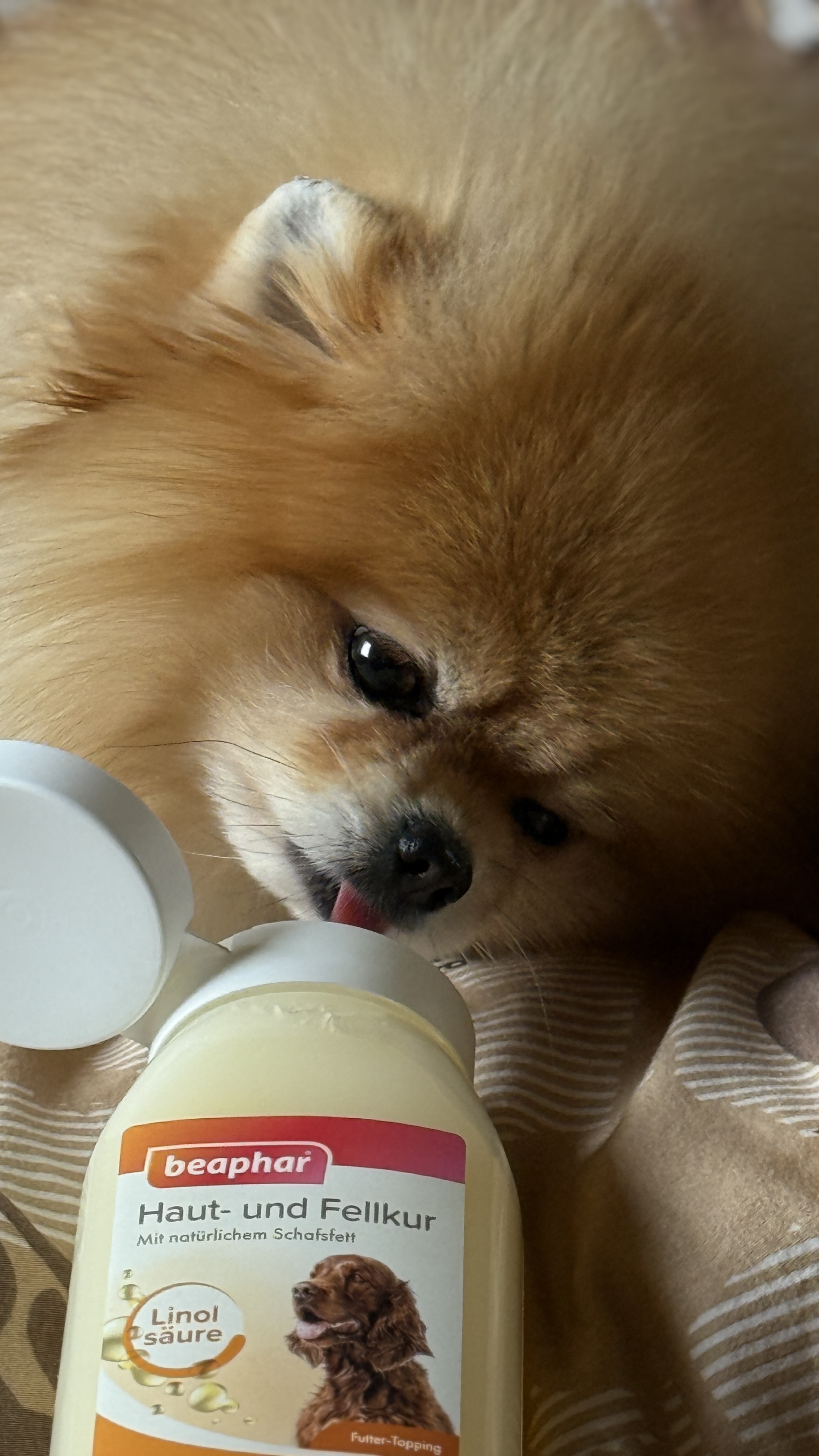 Bőr- és Szőrápoló táplálékkiegészítő kutyáknak