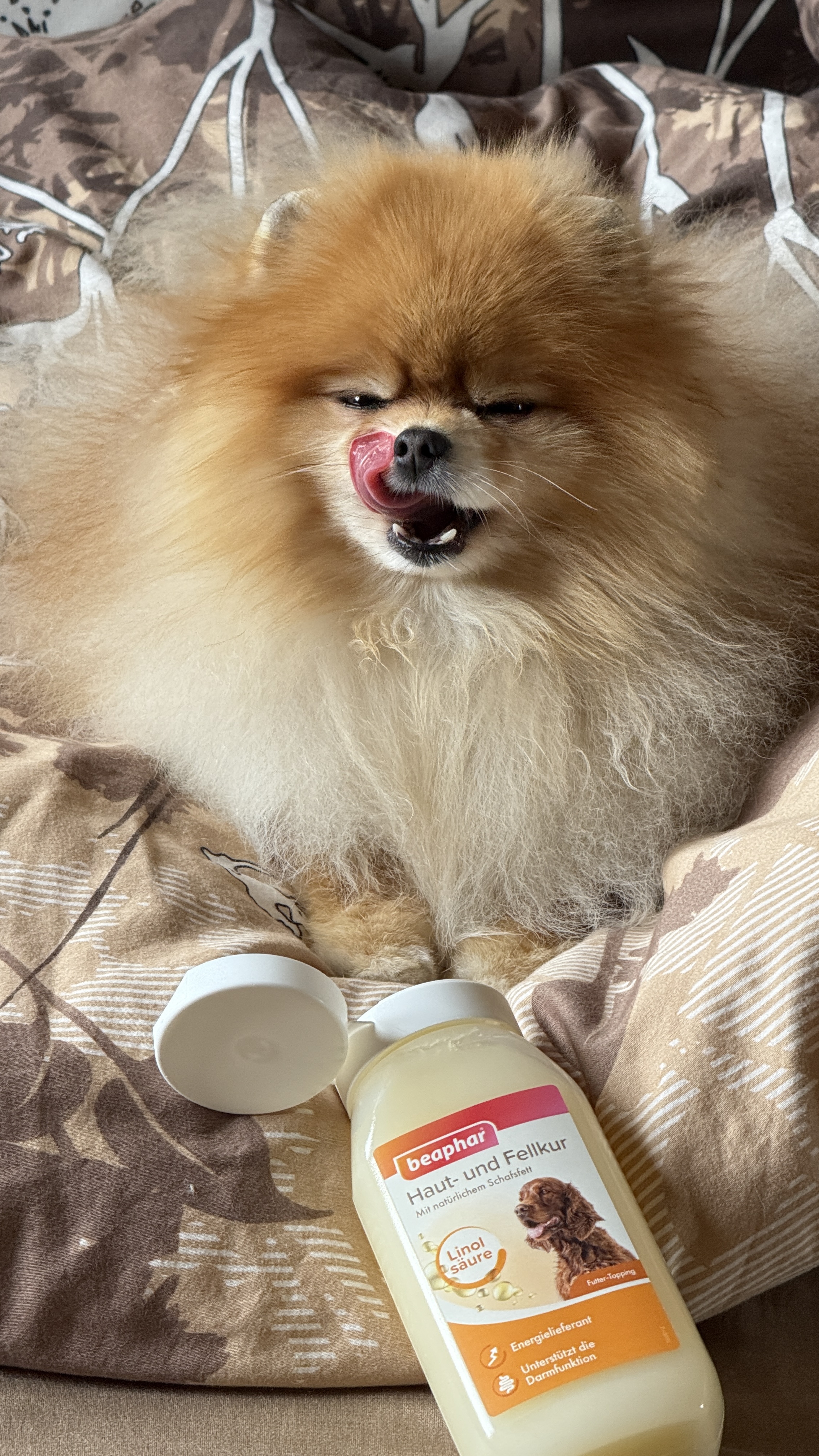 Bőr- és Szőrápoló táplálékkiegészítő kutyáknak