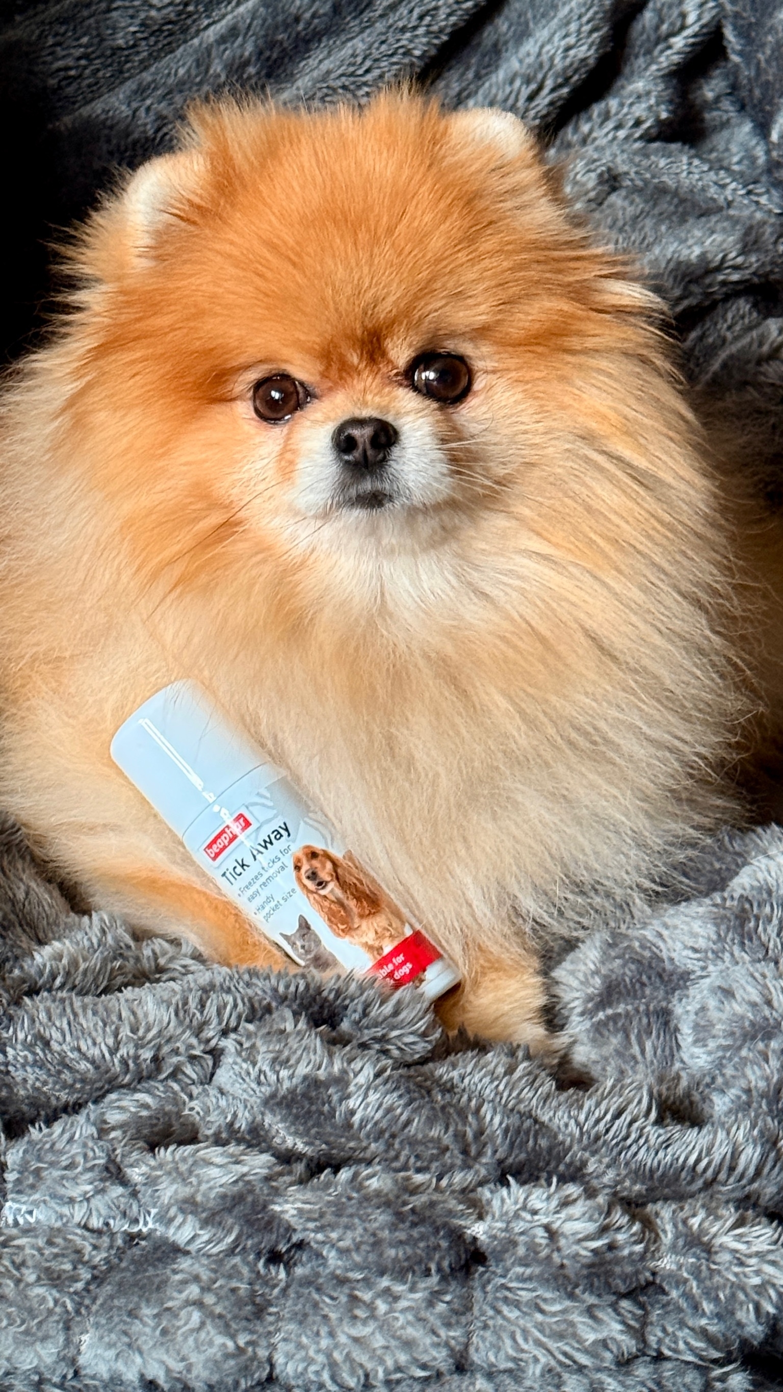 Tick Away kullancsfagyasztó spray