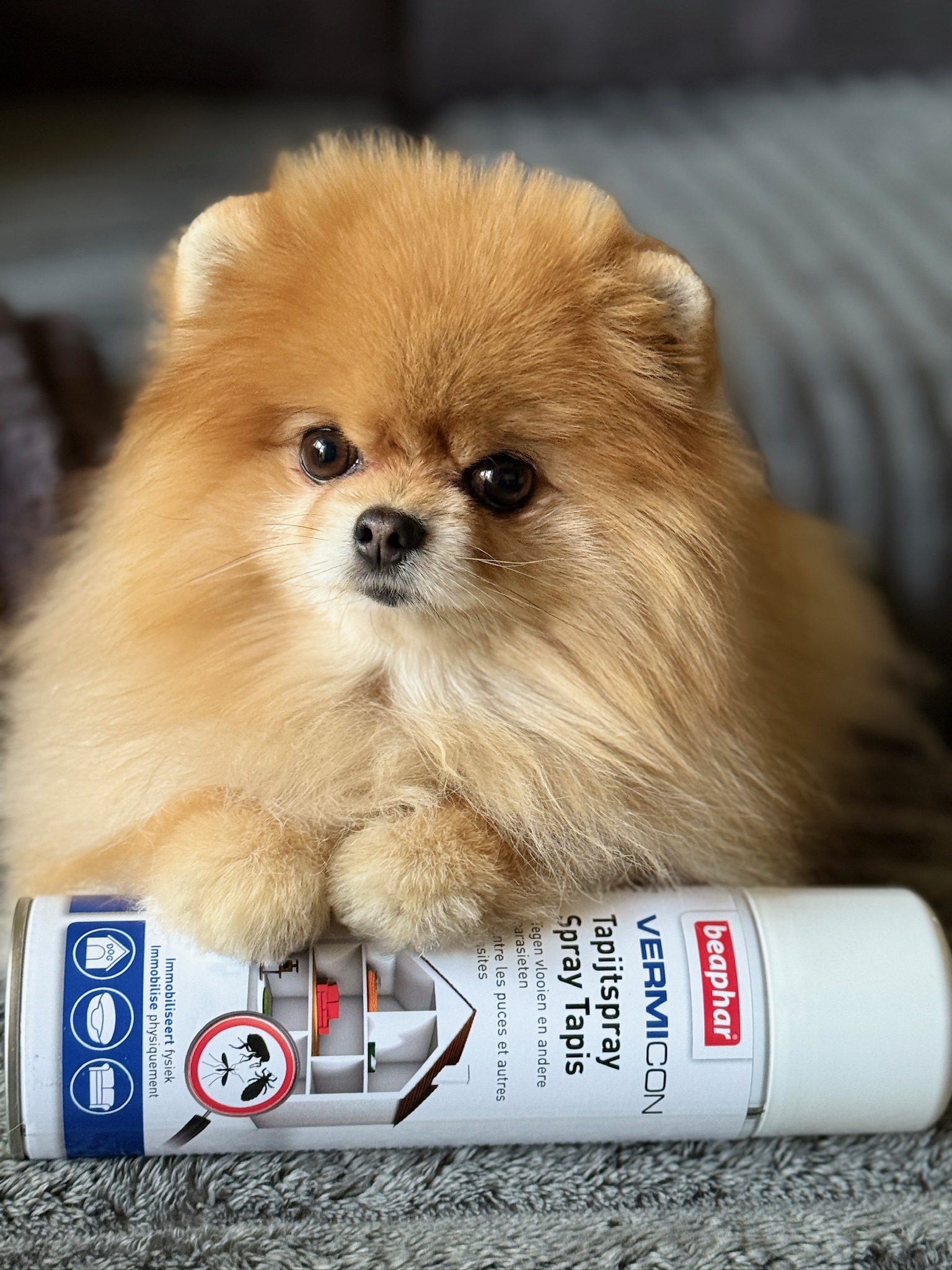 Vermicon környezetkezelő spray