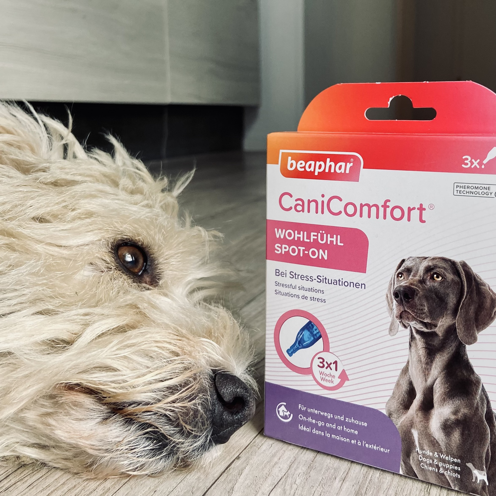 CaniComfort® nyugtató hatású feromonos spot-on