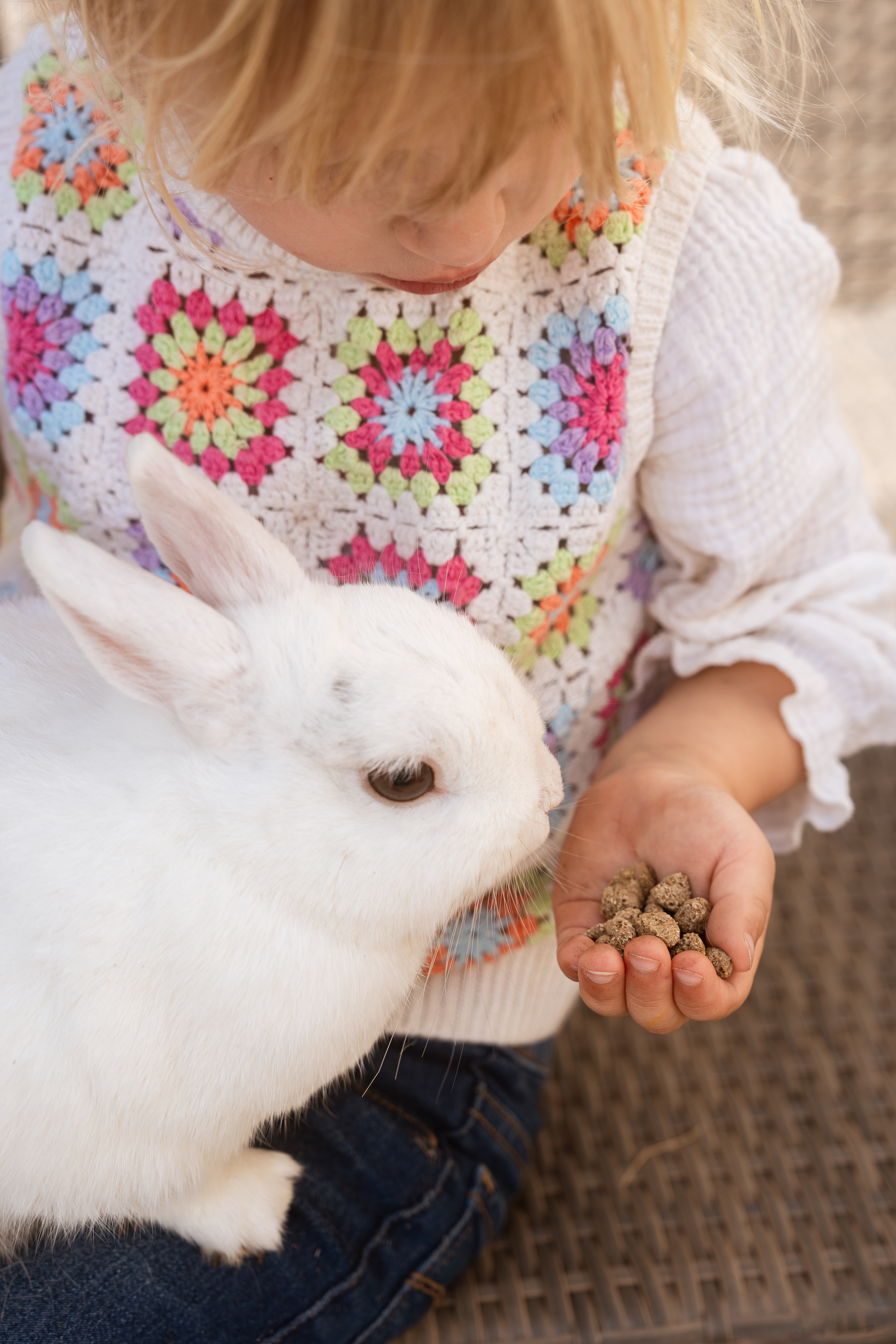 Care+® teljesértékű eledel felnőtt nyulaknak, 5kg