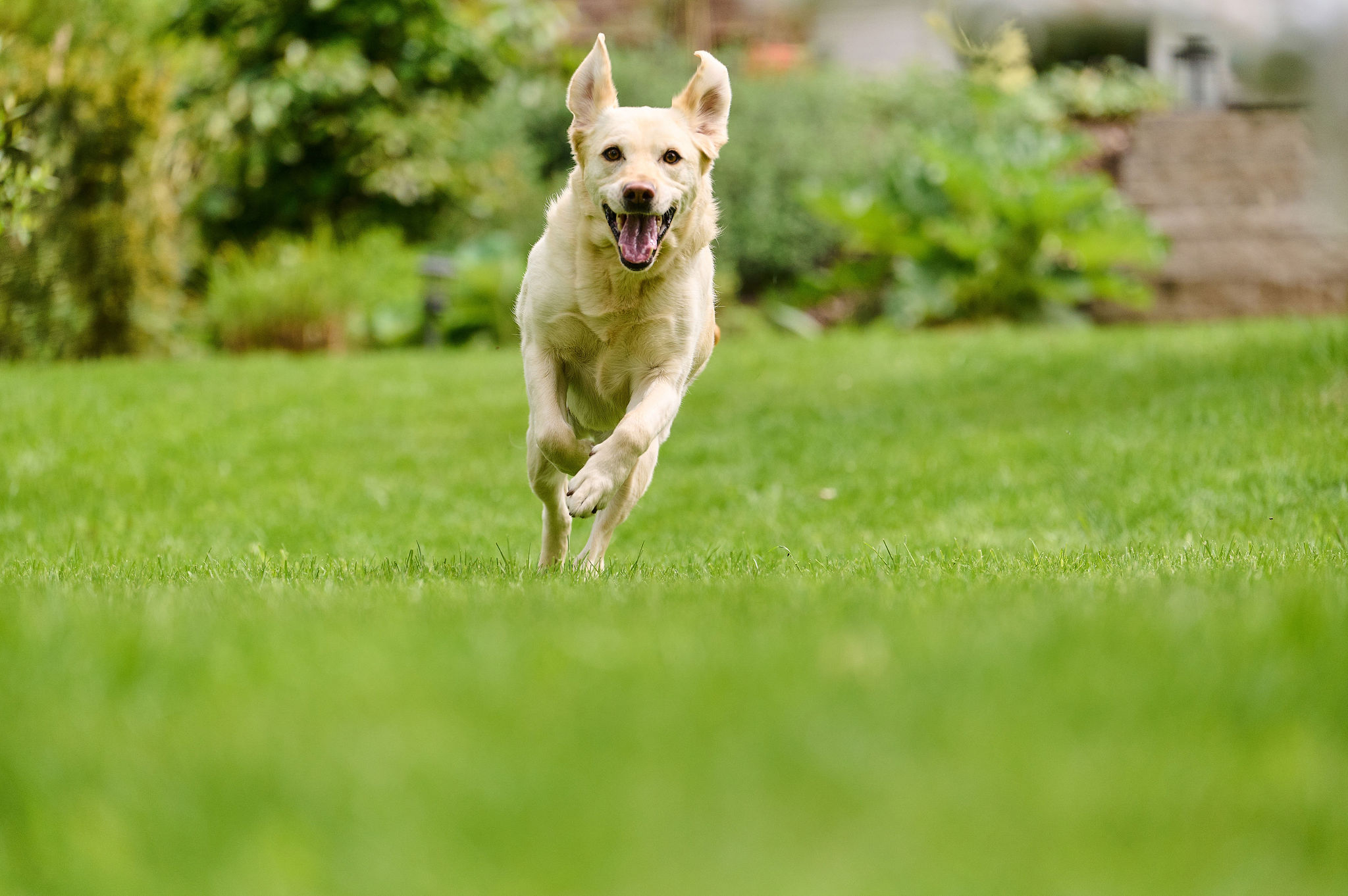 Flexifit® rágórudak