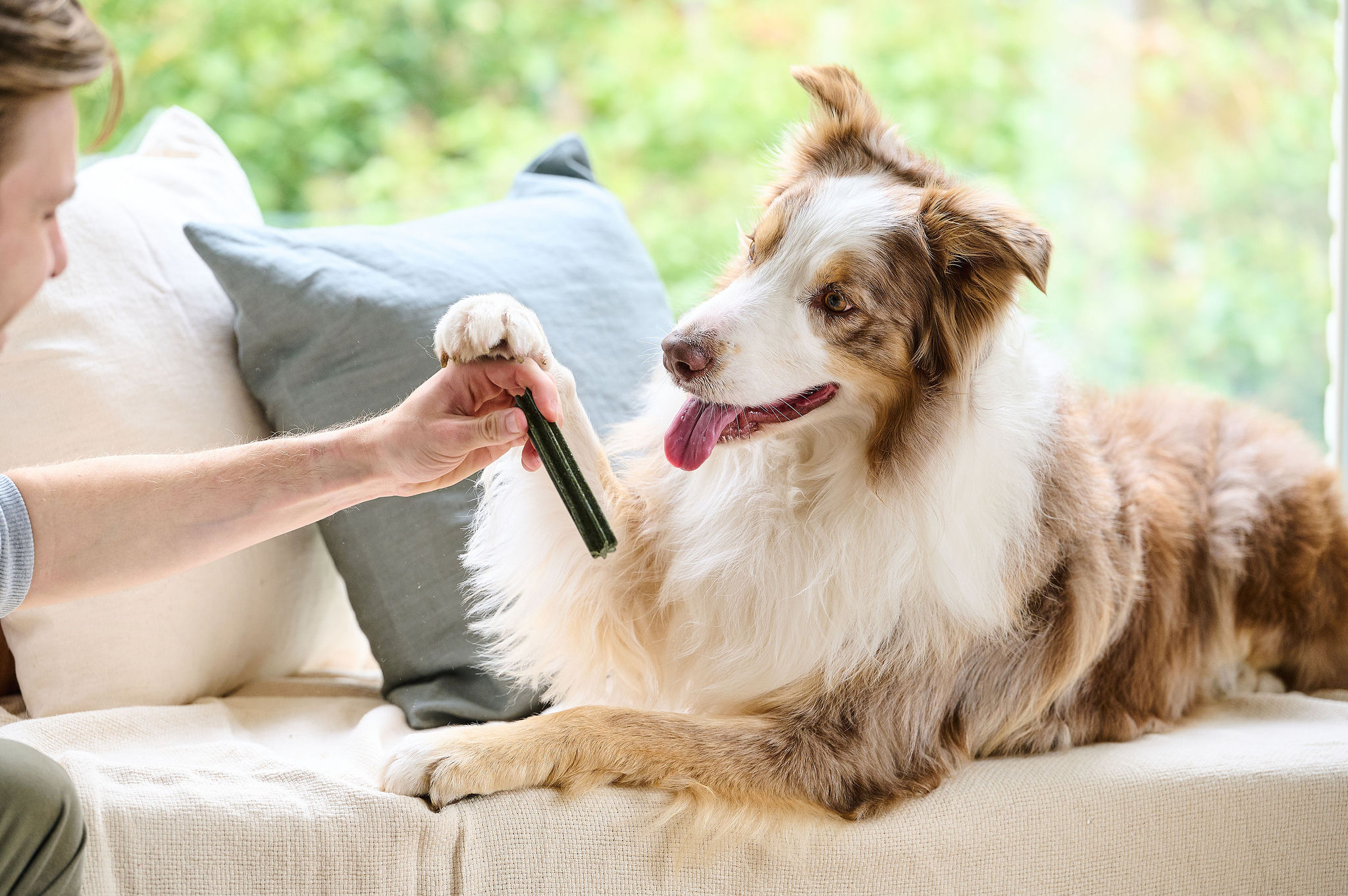 Fogtisztító rágórúd nagytestű kutyáknak, M/L