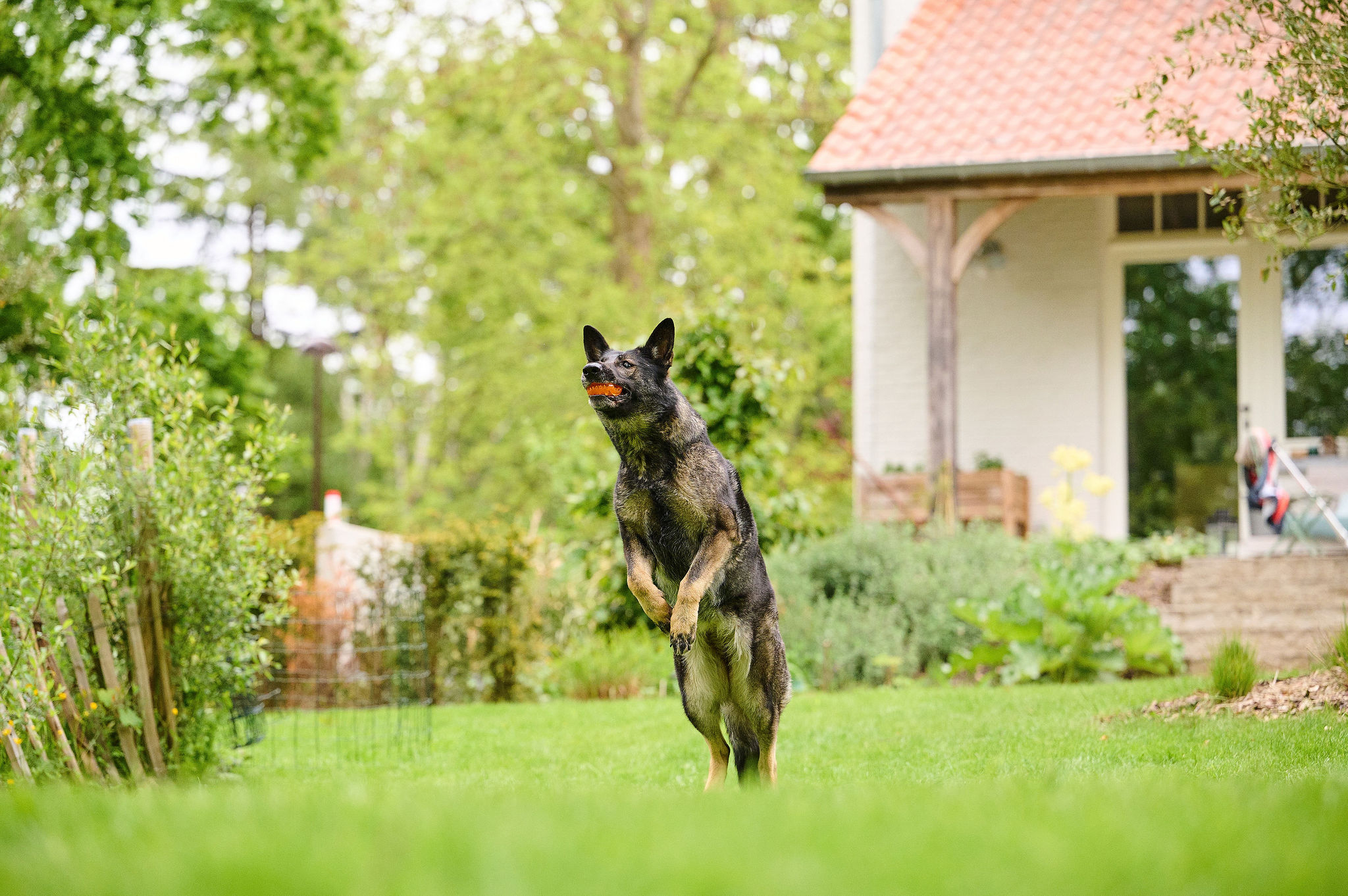 Flexifit® rágórudak