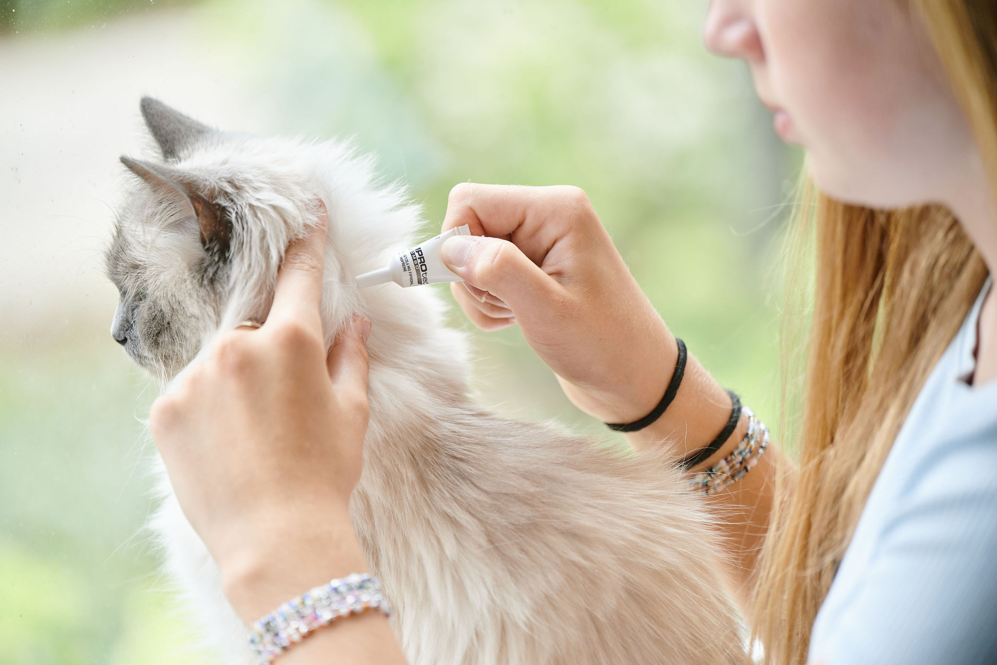 FIPROtec® Cat (1x) bolha- és kullancsirtó spot-on macskáknak