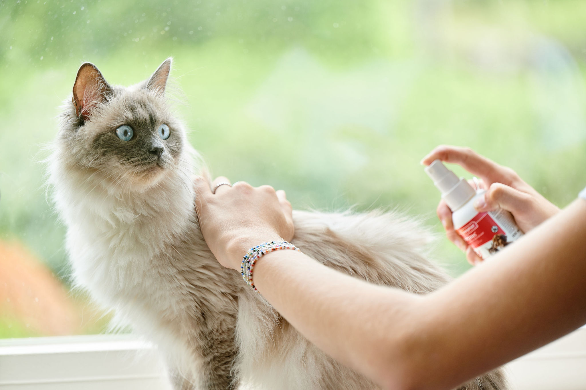 FIPROtec® spray bolhák, kullancsok és tetvek ellen