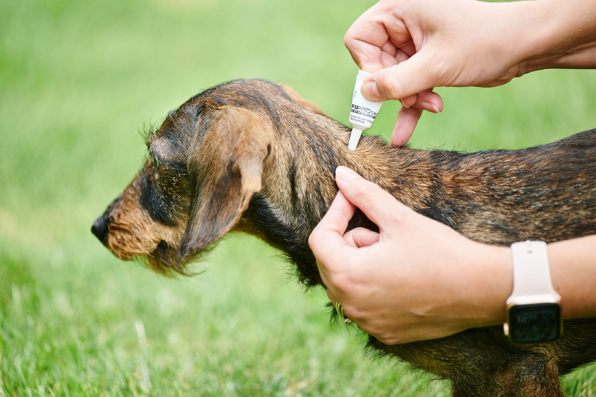 FIPROtec® Dog S (1x) bolha- és kullancsirtó spot-on