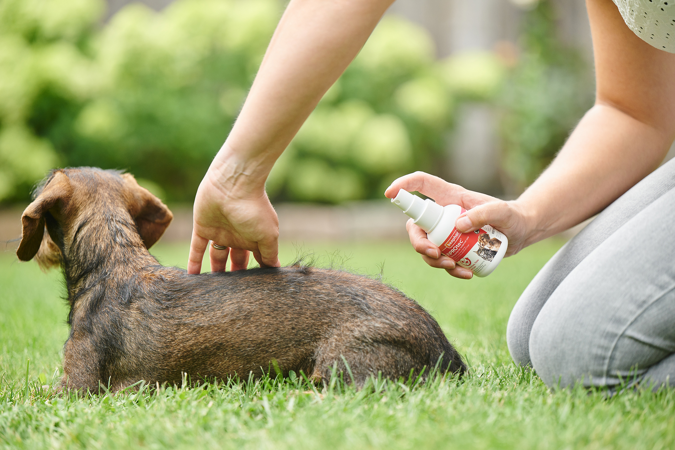 FIPROtec® spray bolhák, kullancsok és tetvek ellen