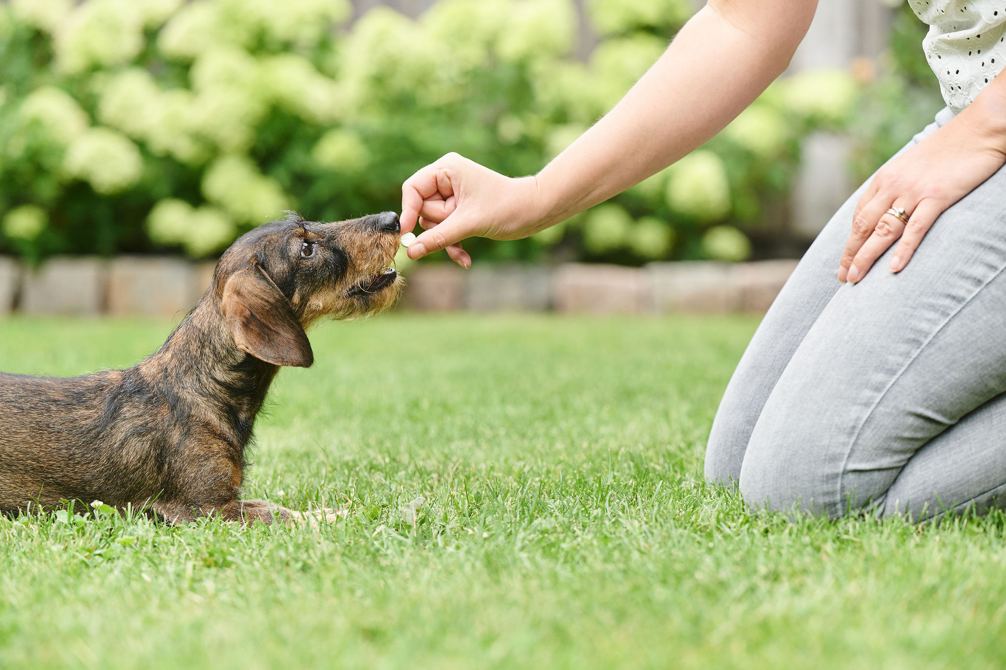Friss lehelet tabletta