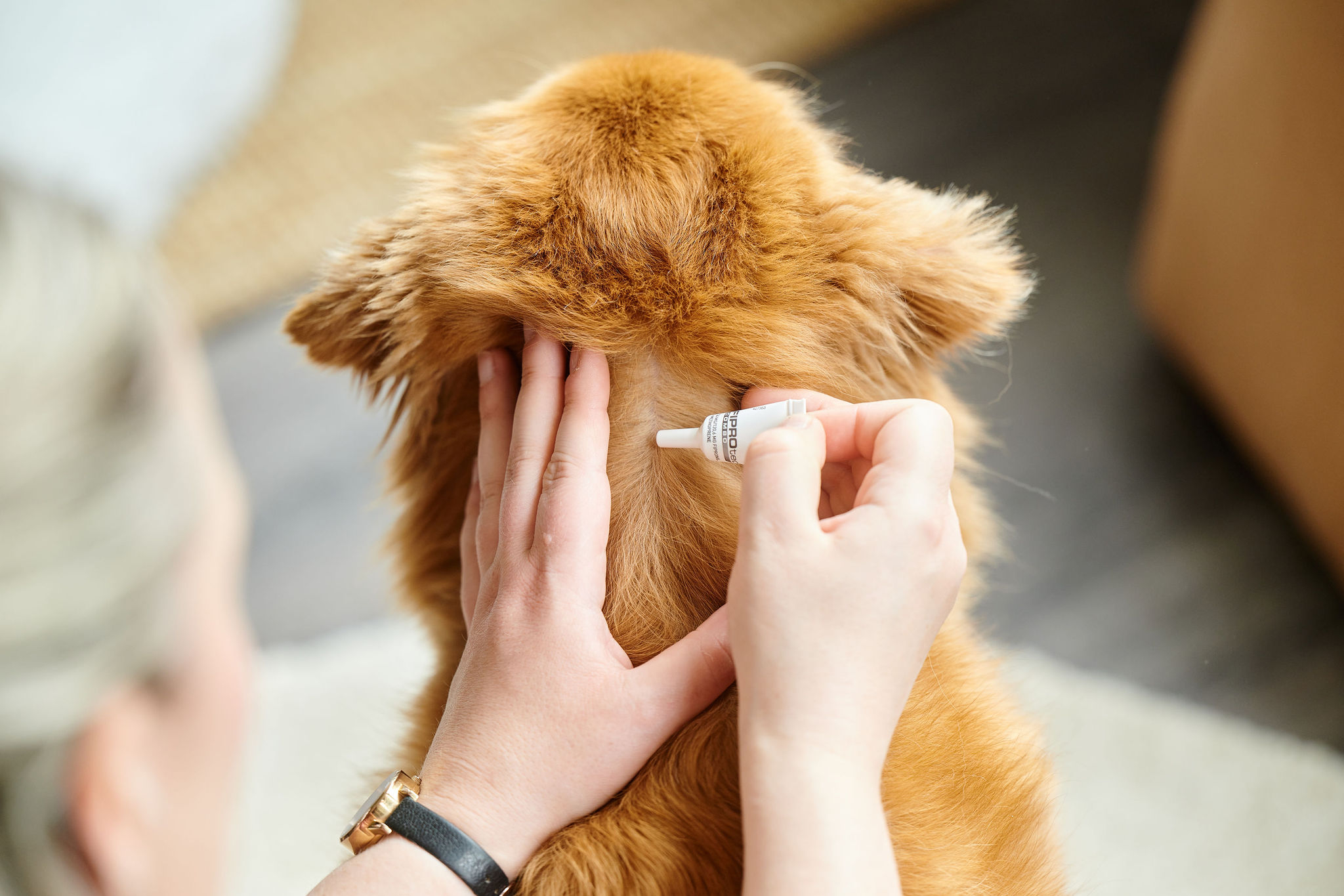 FIPROtec® Dog XL (1x) bolha- és kullancsirtó spot-on