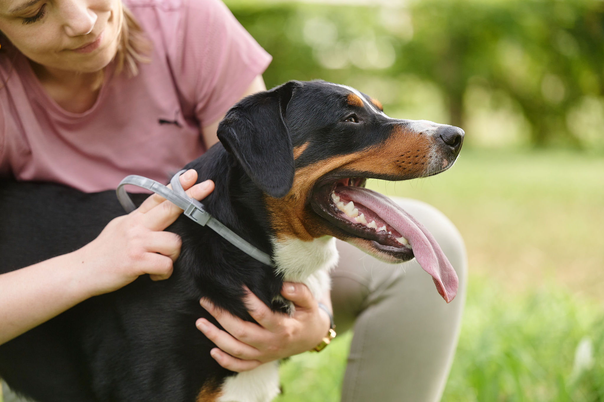 Canishield® nyakörv (48 cm)