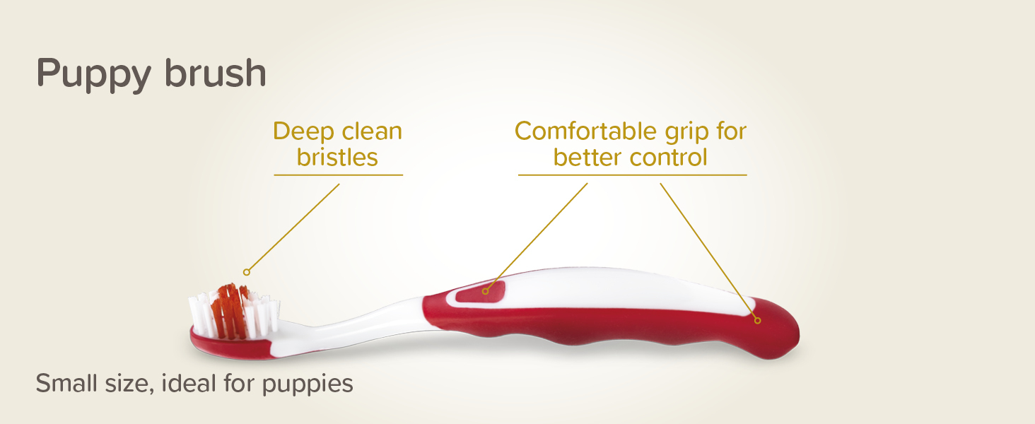 Fogápoló készlet kölyökkutyáknak