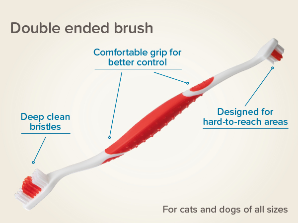 Fogkrém máj ízesítéssel