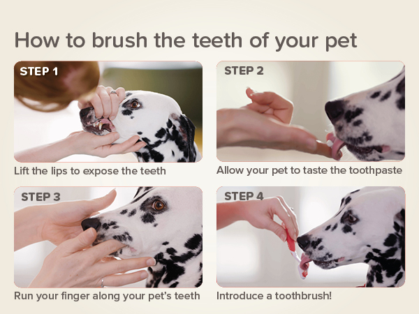 Fogkrém máj ízesítéssel