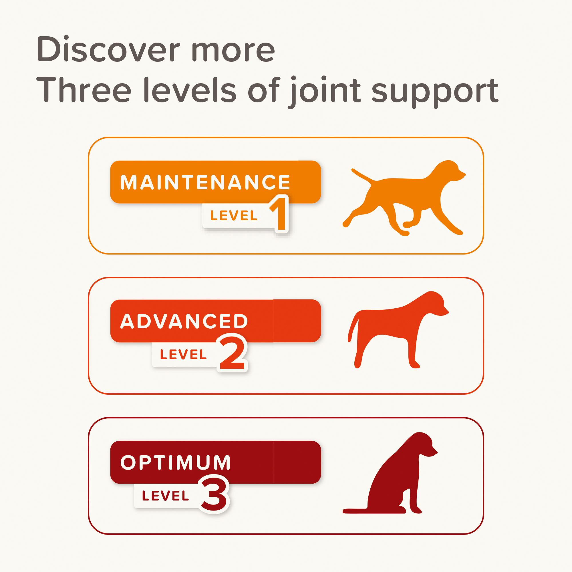 Beaphar Flexifit® Chews Dog