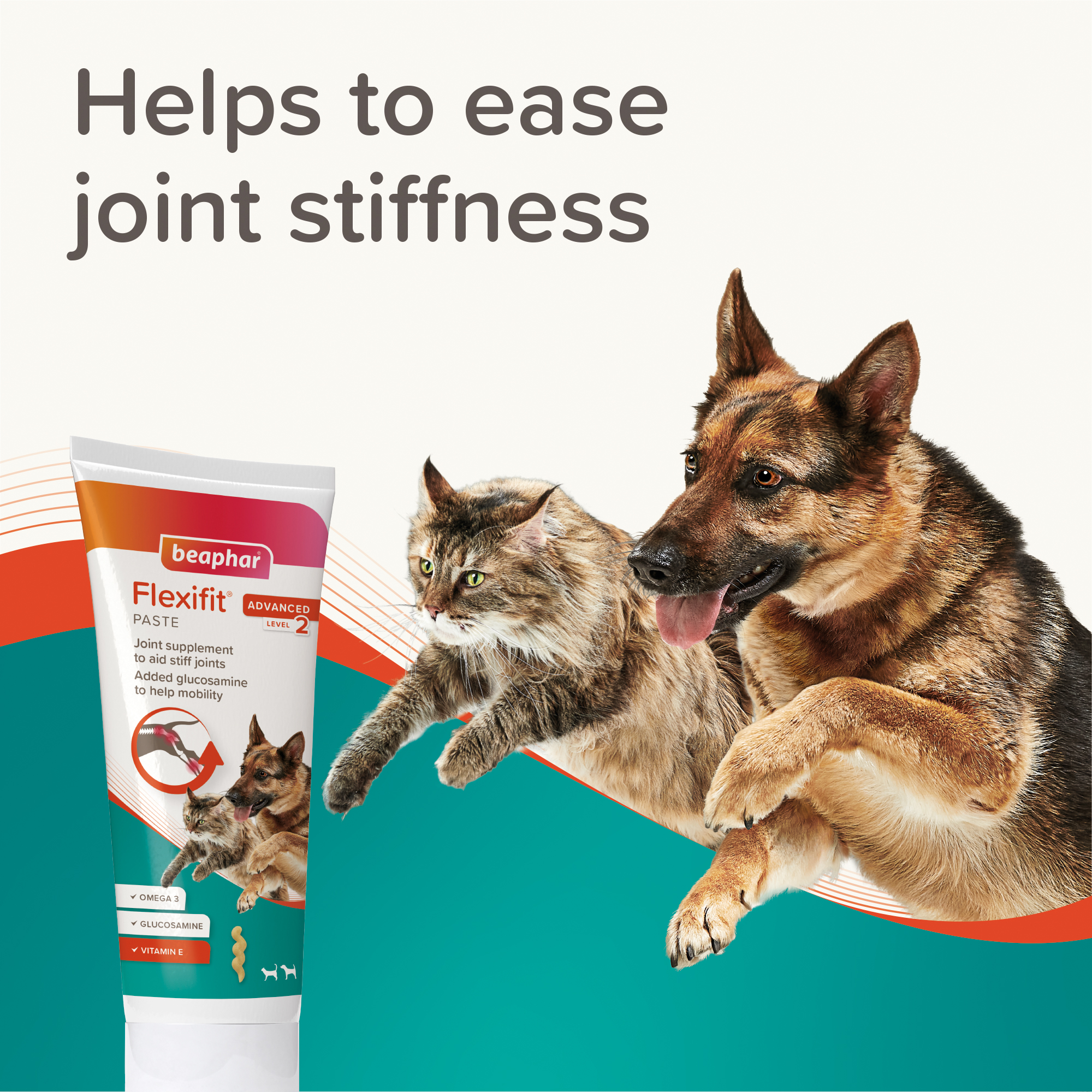Beaphar Flexifit® Paste Dog & Cat