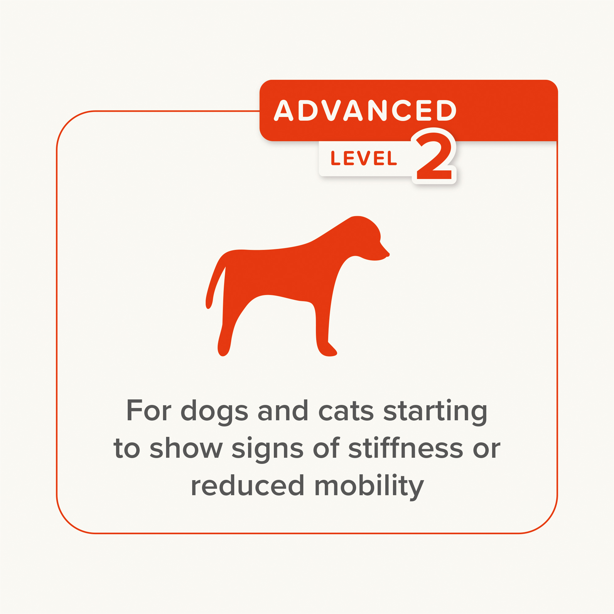 Beaphar Flexifit® Paste Dog & Cat