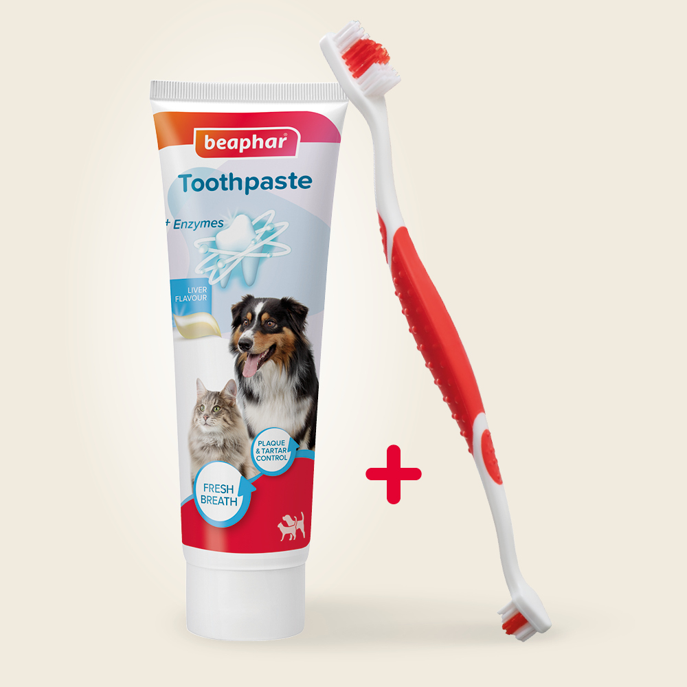 Beaphar Tooth Combipack Dog & Cat