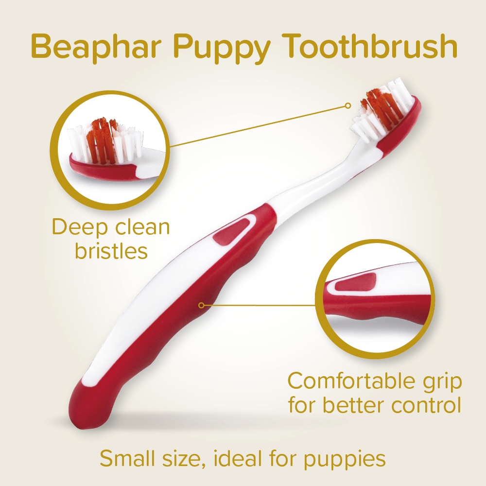Beaphar Puppy Dental Kit
