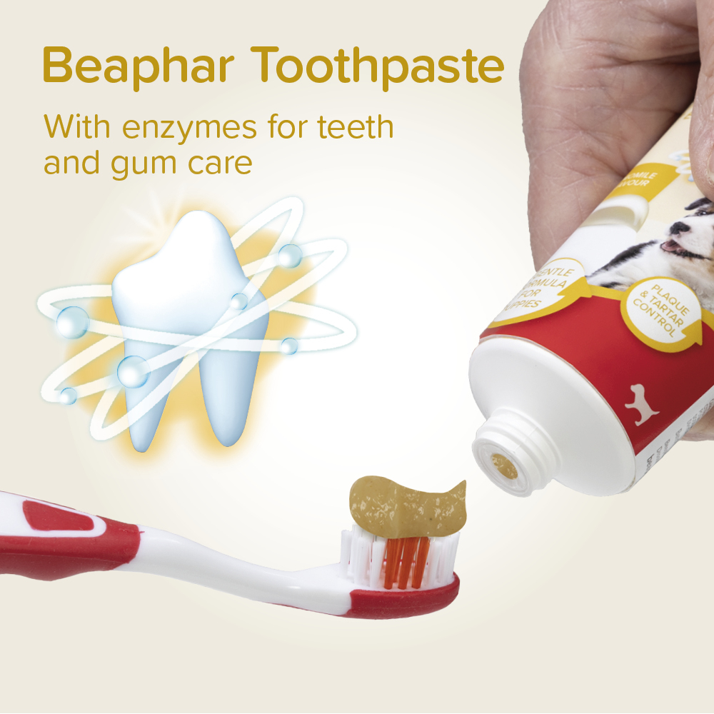 Beaphar Puppy Dental Kit