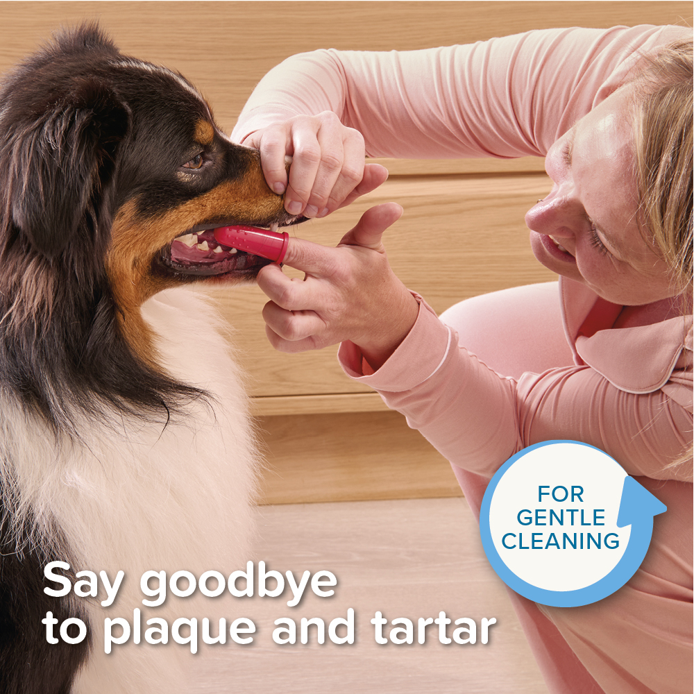 Beaphar Finger Toothbrush Dog & Cat