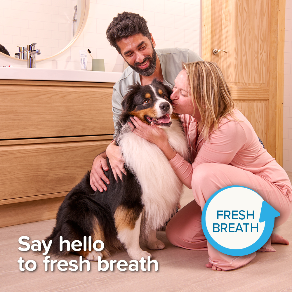 Fogkefe kutyáknak és macskáknak