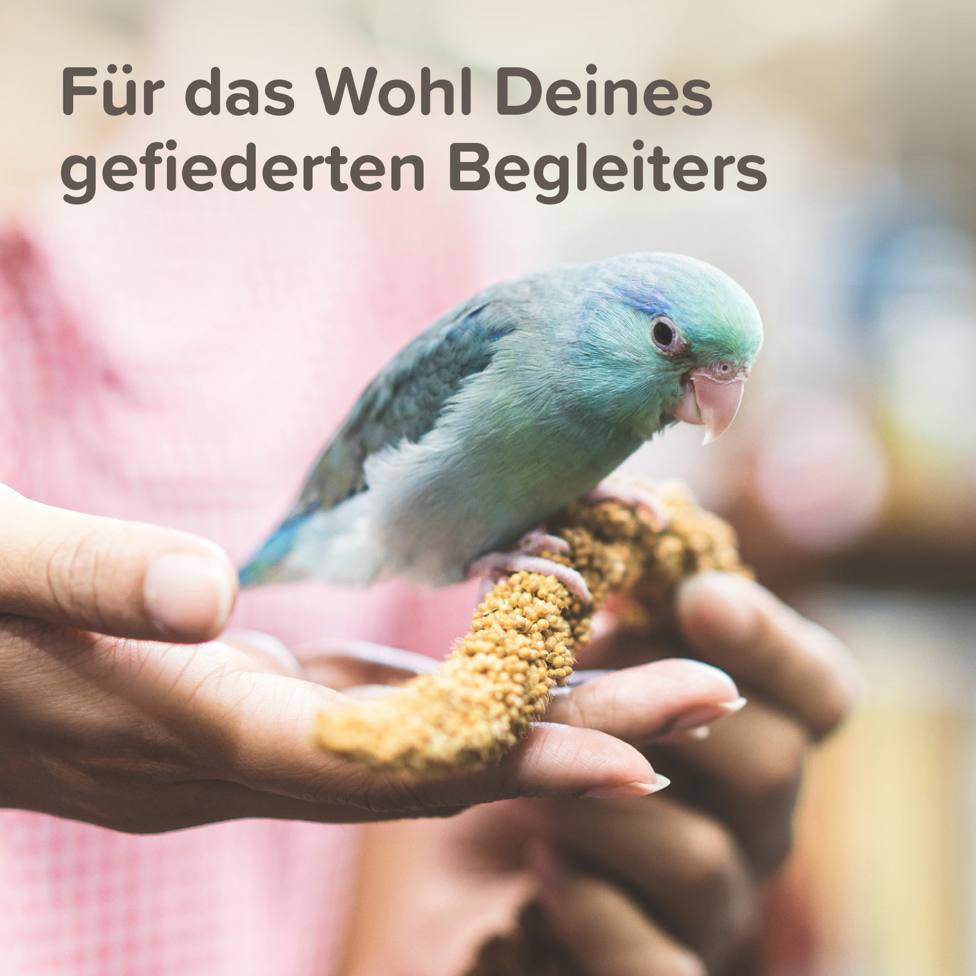 Beaphar XtraVital Papageien, 3kg