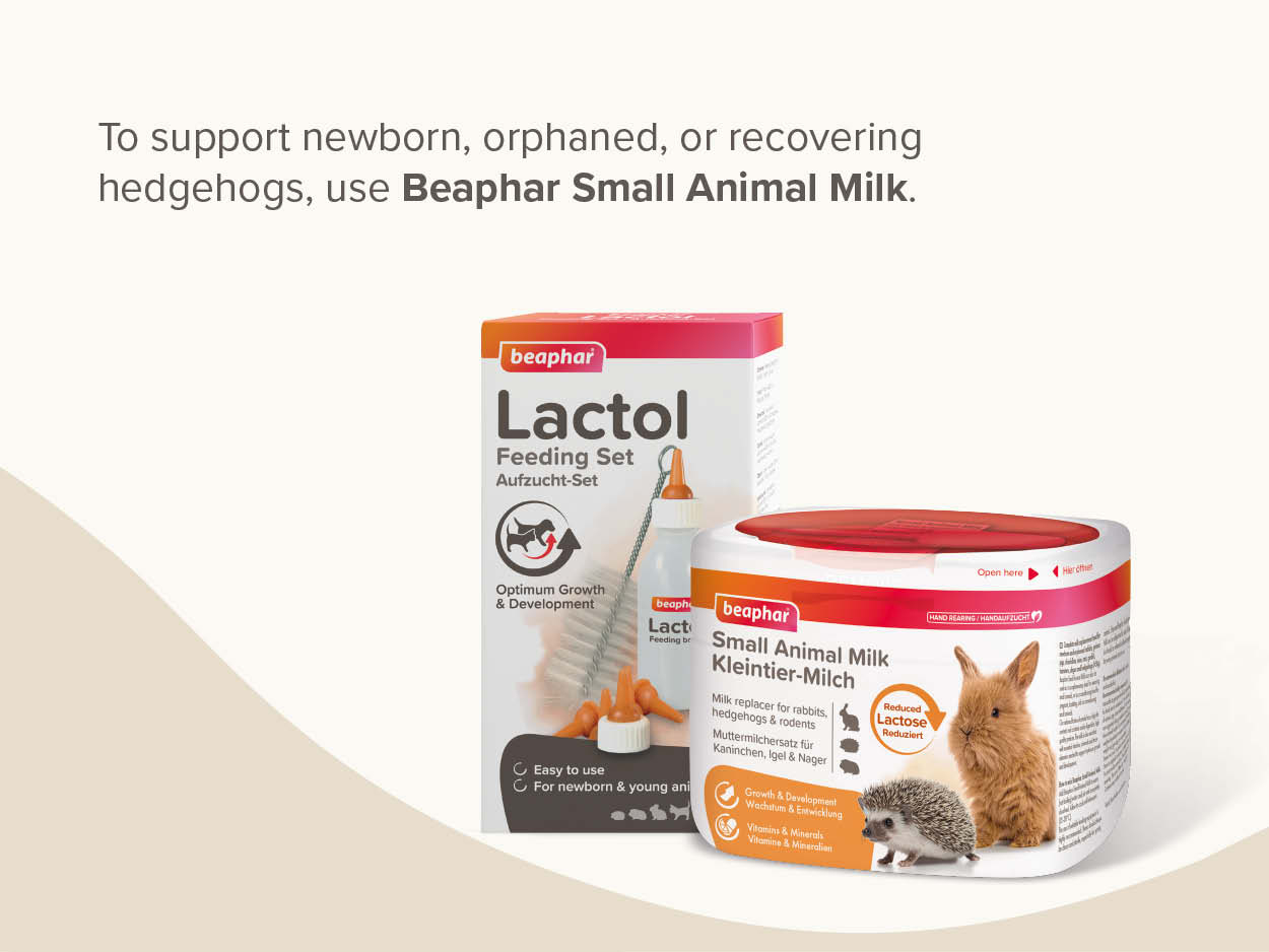 Kisemlős tejpótló tápszer, 200g